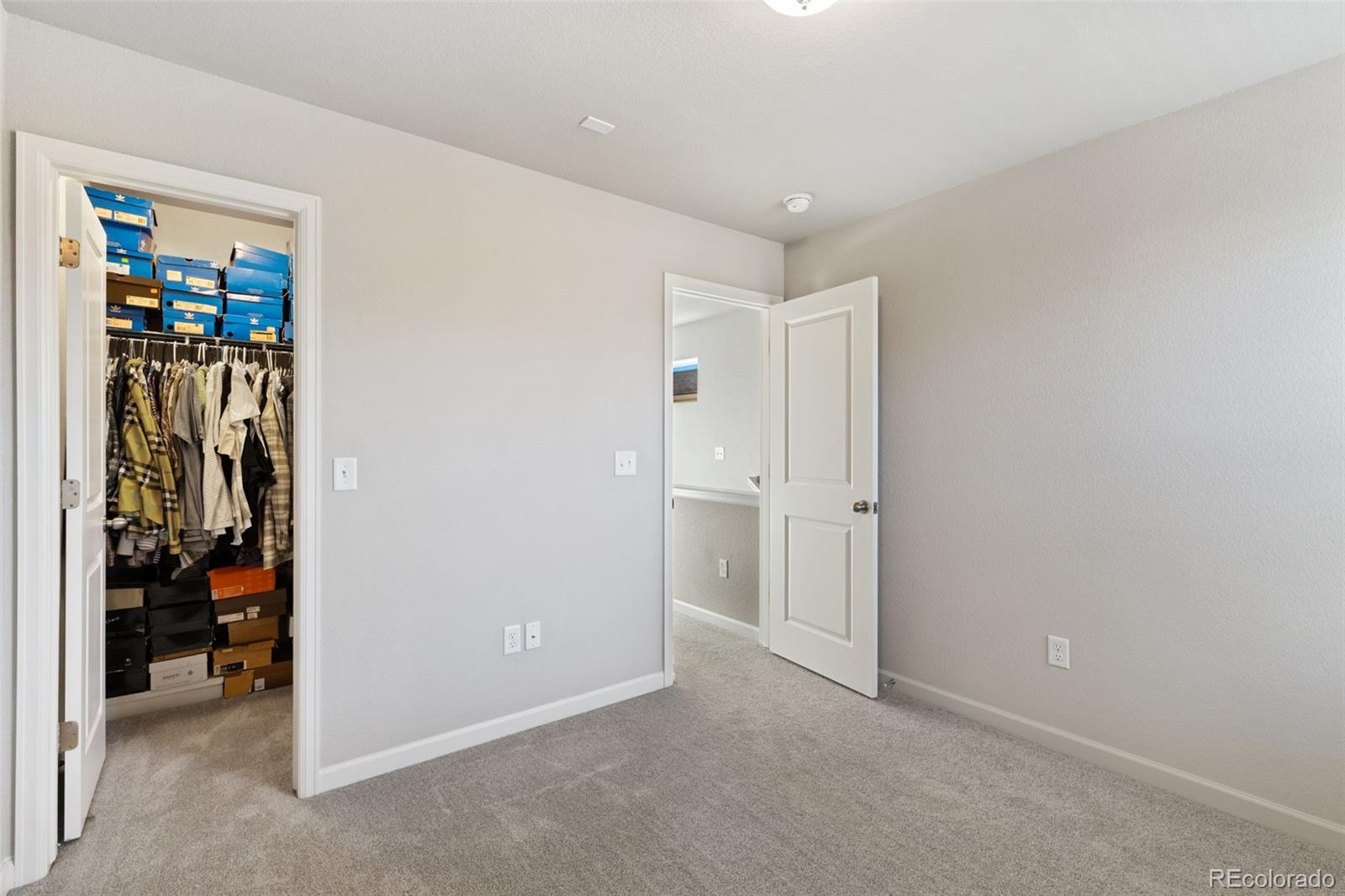 MLS Image #23 for 4134  jericho loop ,colorado springs, Colorado