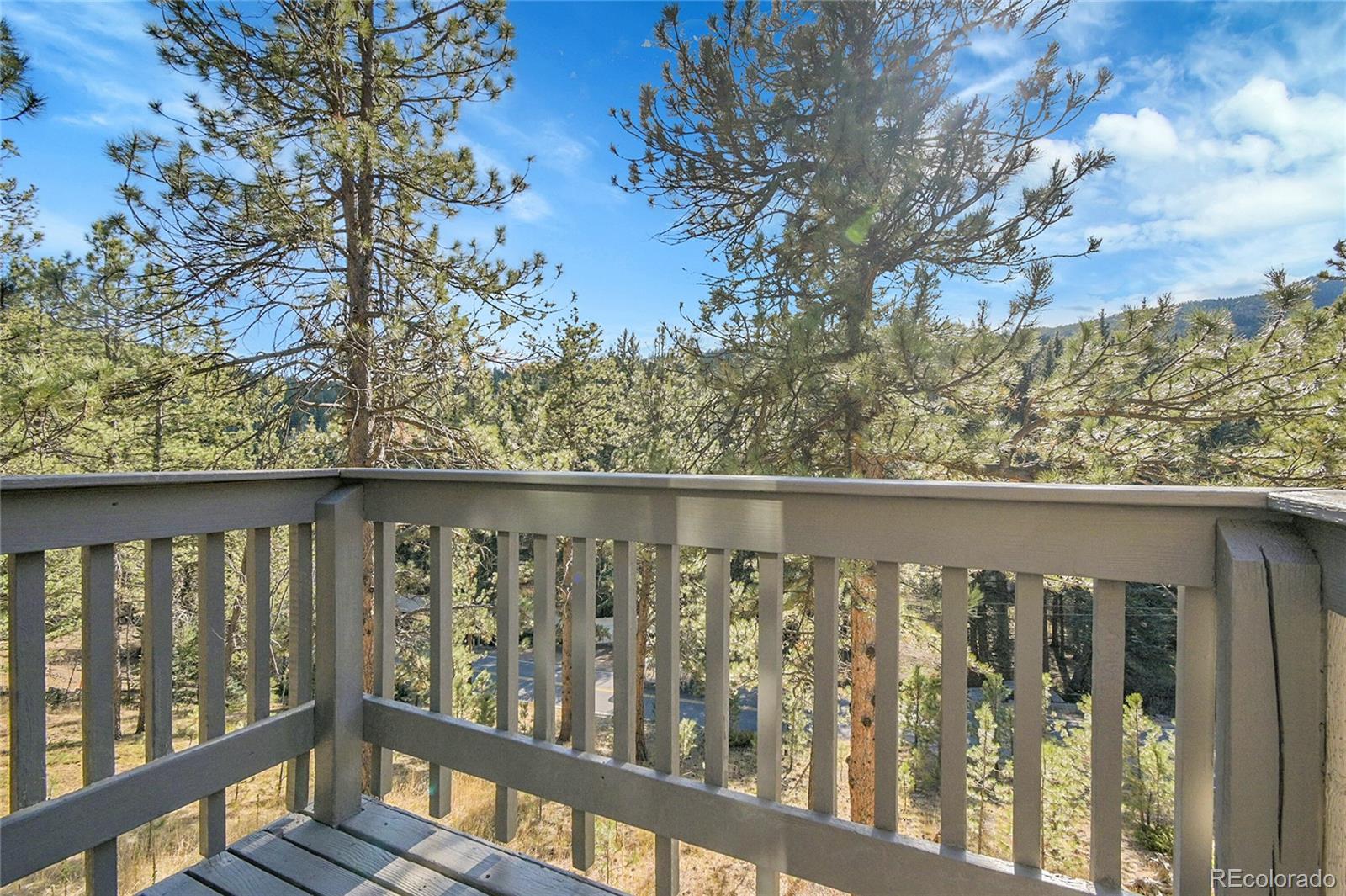 MLS Image #31 for 10342  buena vista drive,conifer, Colorado