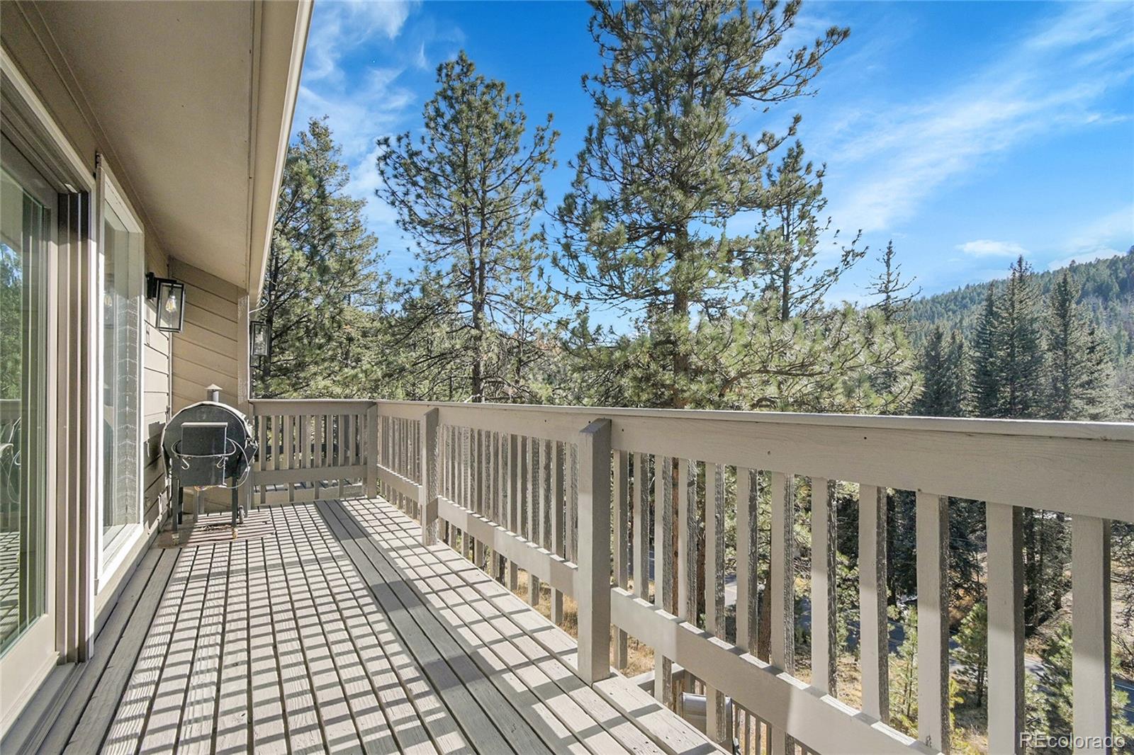 MLS Image #32 for 10342  buena vista drive,conifer, Colorado