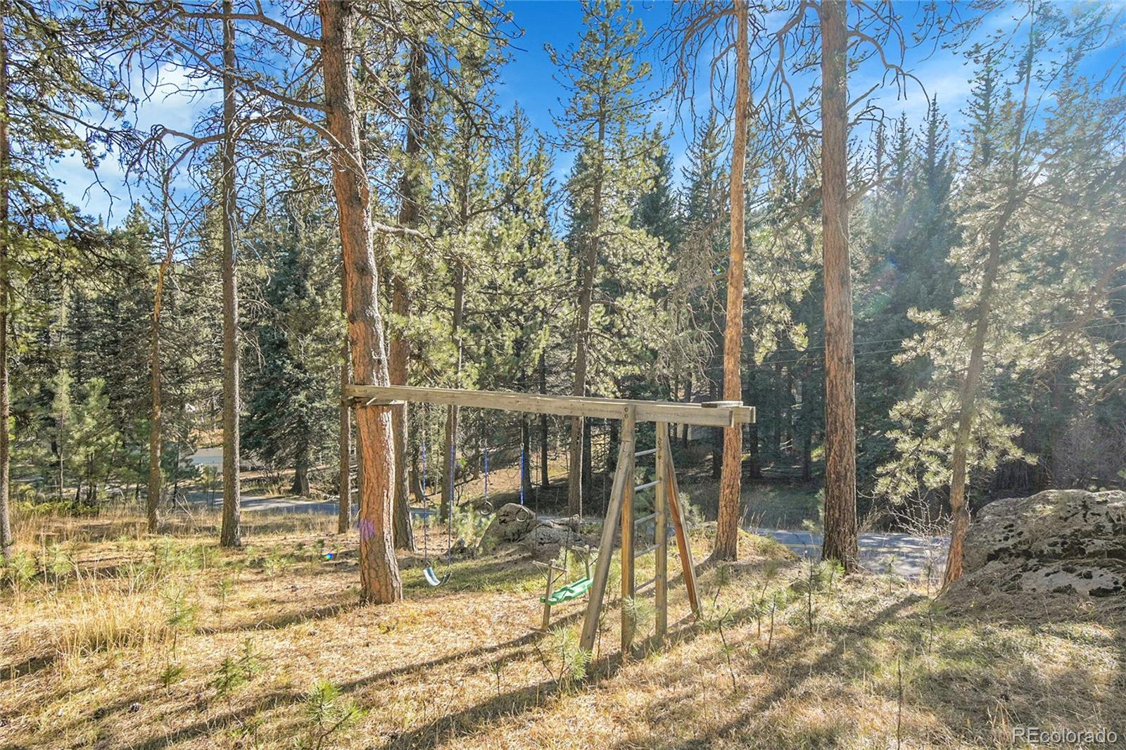 MLS Image #36 for 10342  buena vista drive,conifer, Colorado