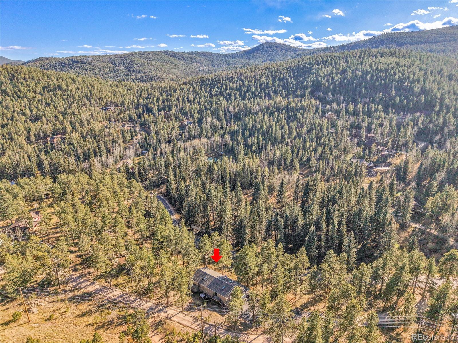 MLS Image #39 for 10342  buena vista drive,conifer, Colorado