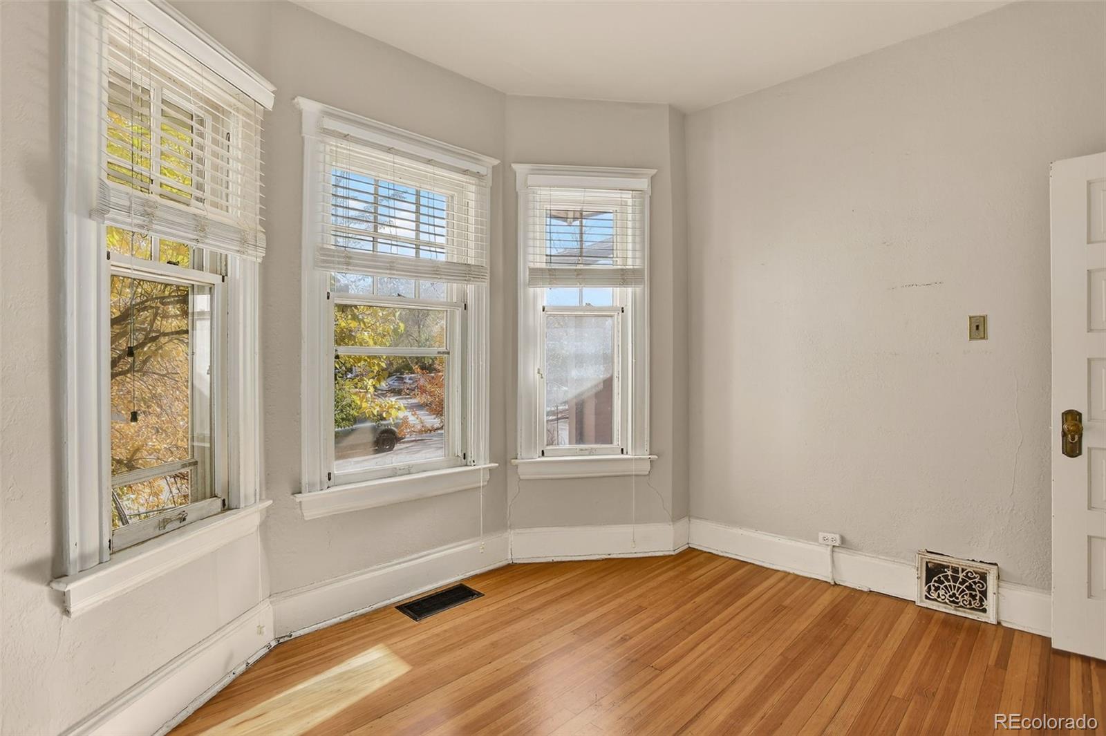 MLS Image #18 for 1161  elizabeth street,denver, Colorado
