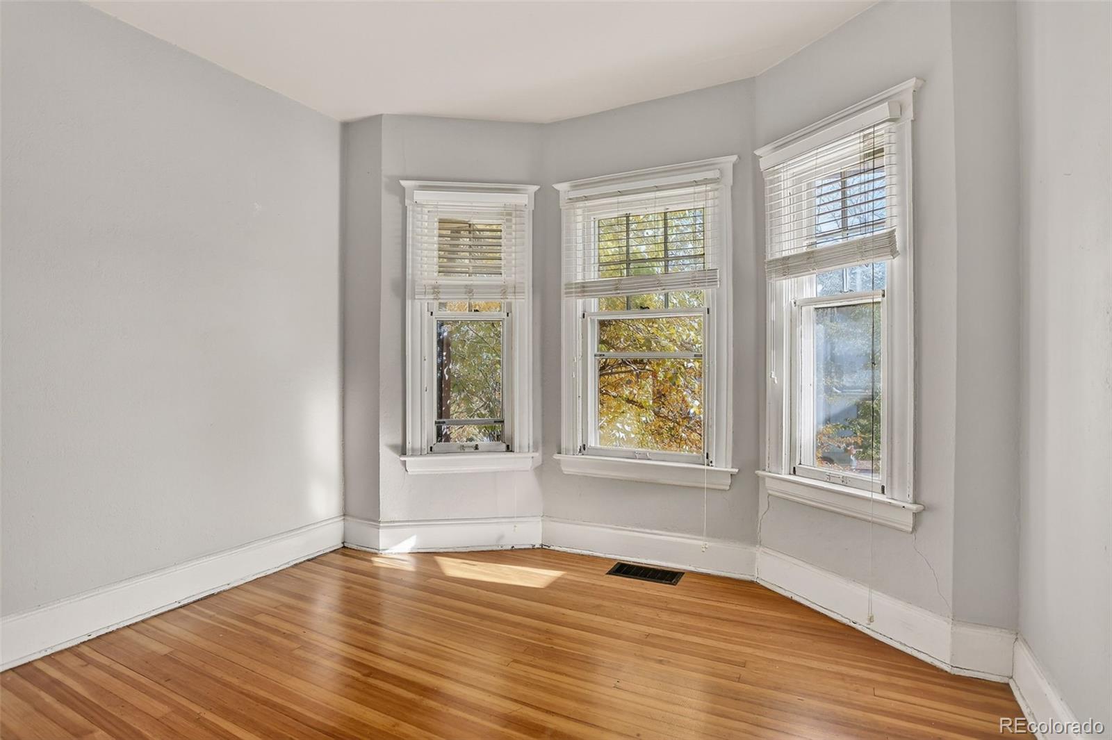 MLS Image #19 for 1161  elizabeth street,denver, Colorado