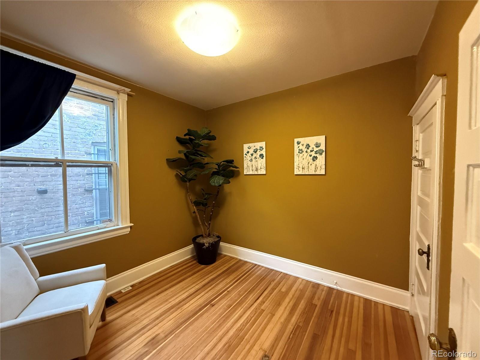 MLS Image #21 for 1161  elizabeth street,denver, Colorado