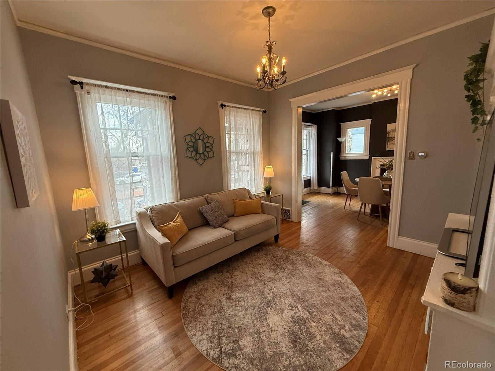 MLS Image #9 for 1161  elizabeth street,denver, Colorado
