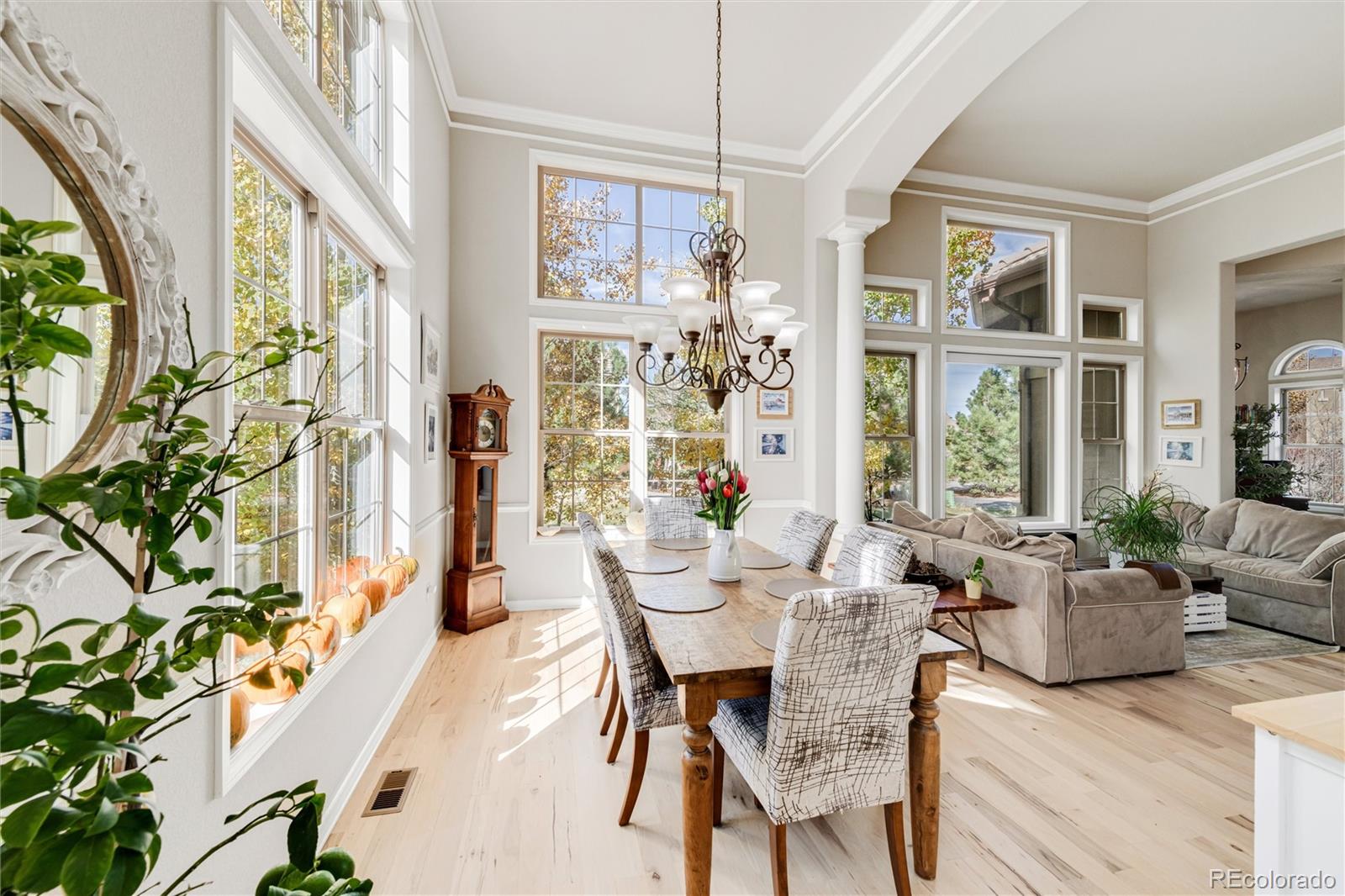 MLS Image #12 for 6293  ellingwood point way,castle rock, Colorado