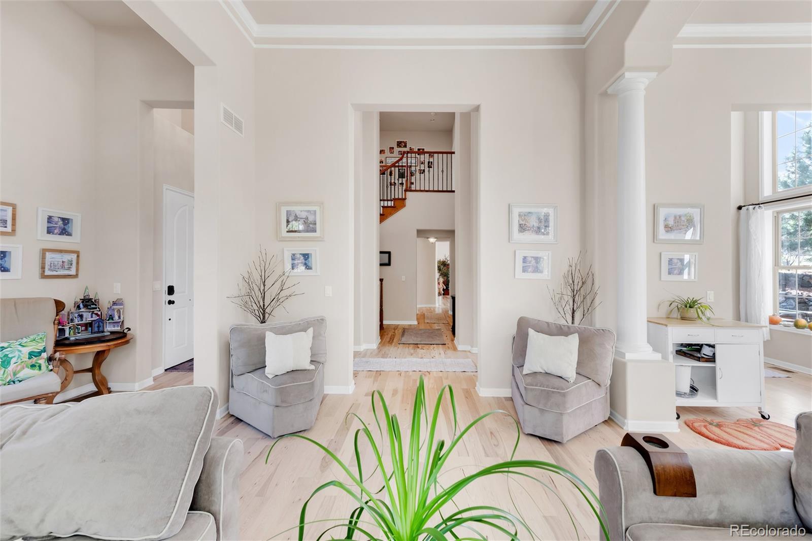 MLS Image #13 for 6293  ellingwood point way,castle rock, Colorado