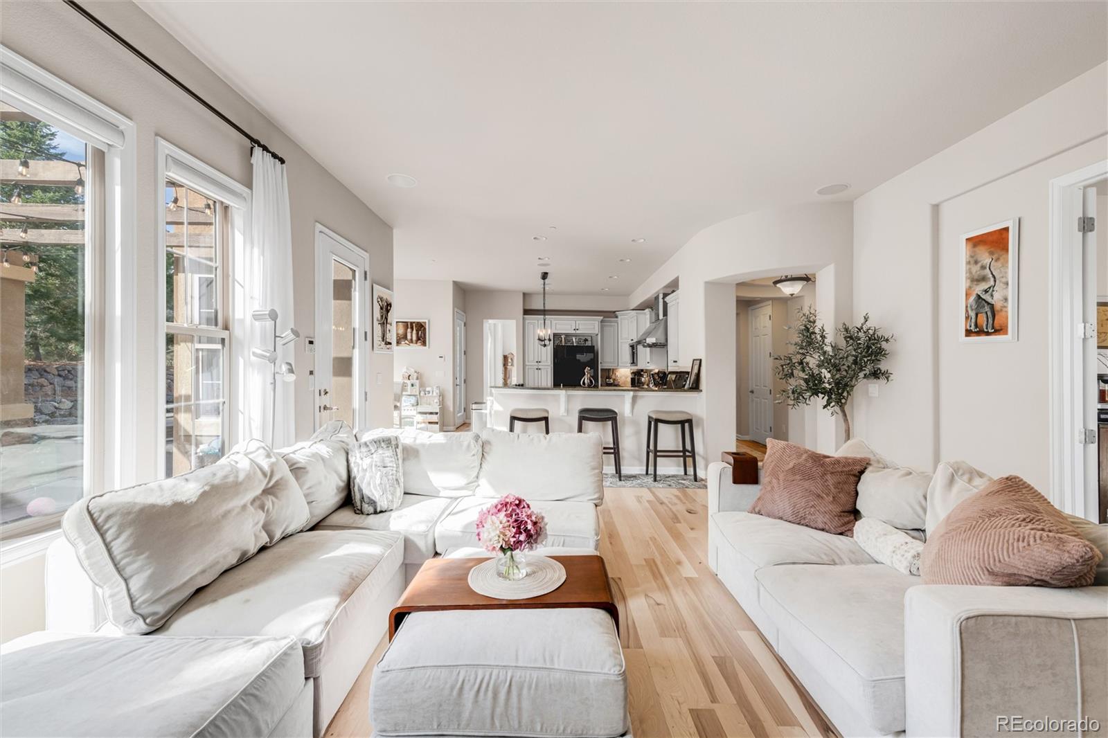 MLS Image #20 for 6293  ellingwood point way,castle rock, Colorado