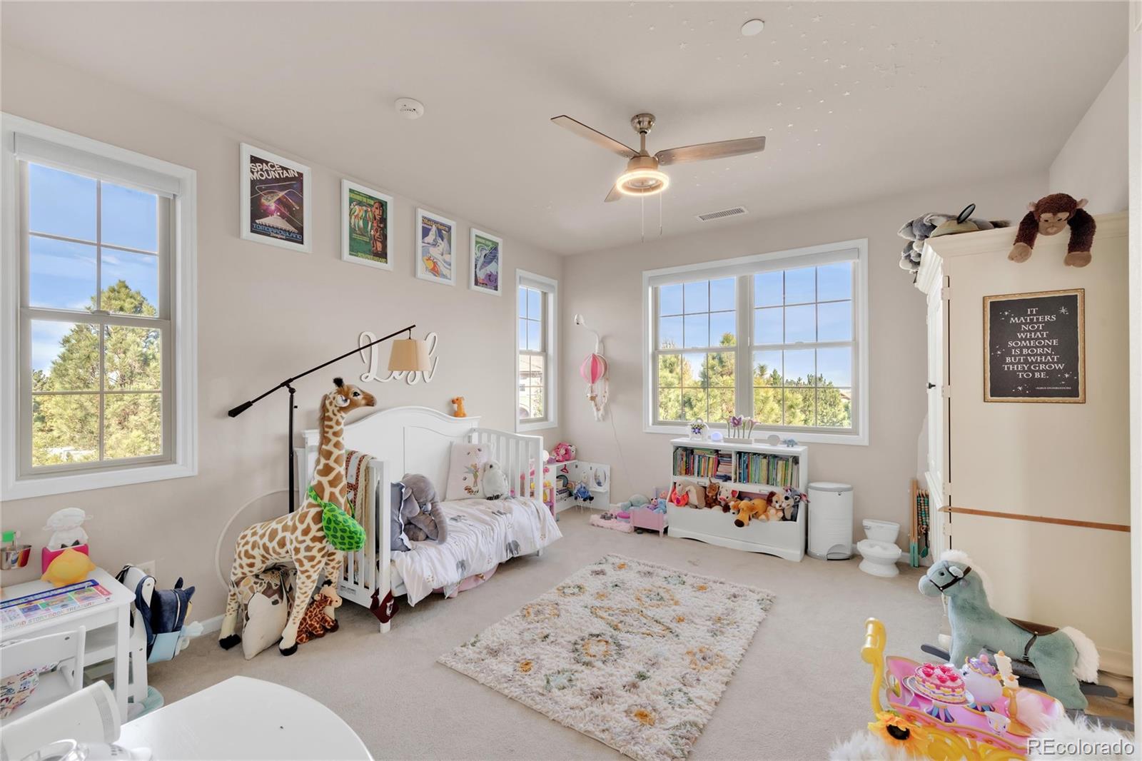 MLS Image #30 for 6293  ellingwood point way,castle rock, Colorado