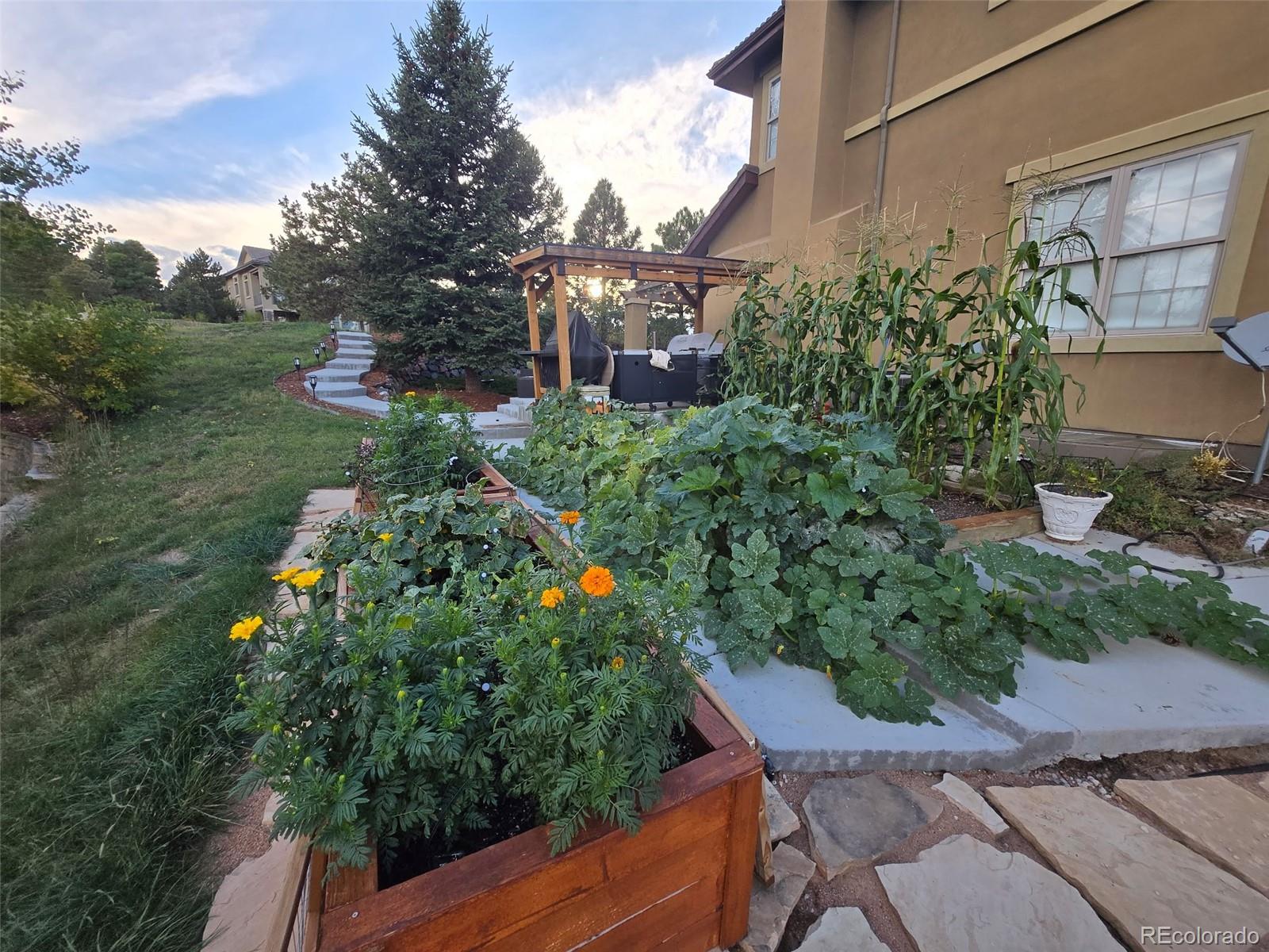MLS Image #48 for 6293  ellingwood point way,castle rock, Colorado