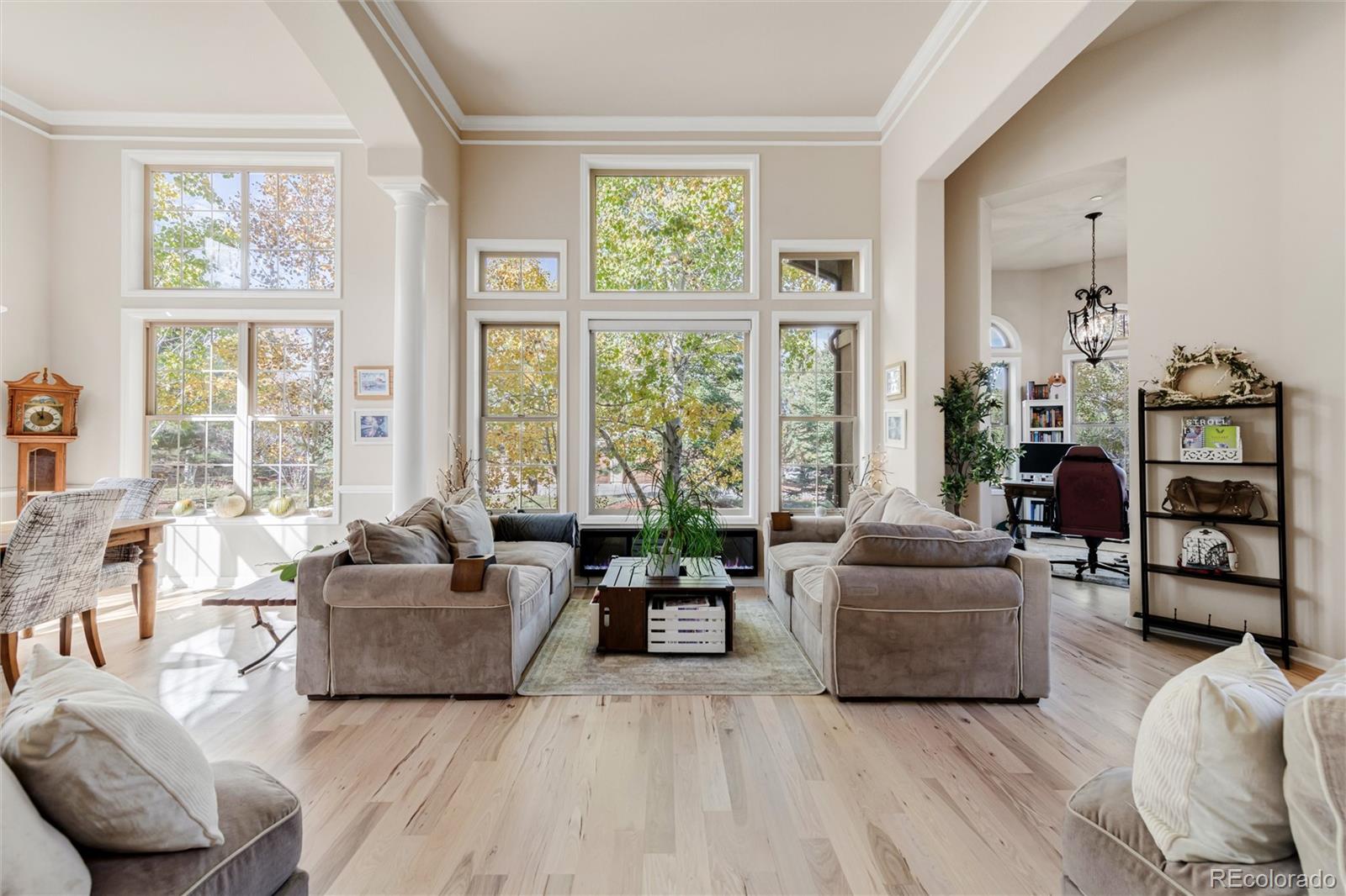 MLS Image #7 for 6293  ellingwood point way,castle rock, Colorado