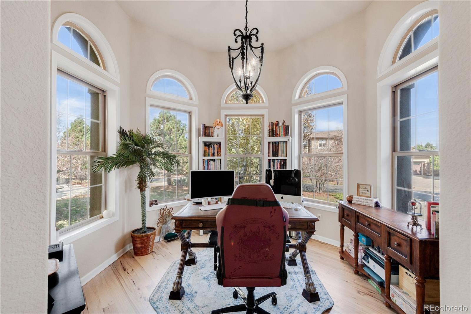 MLS Image #9 for 6293  ellingwood point way,castle rock, Colorado