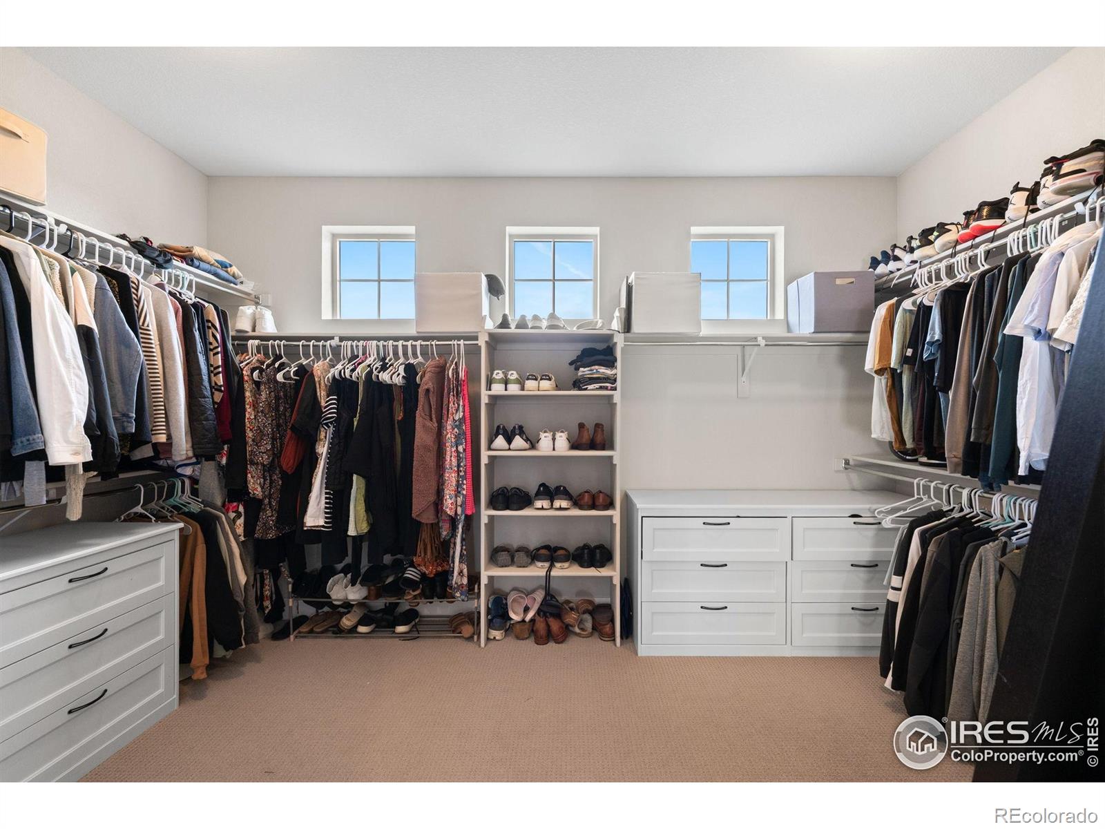 MLS Image #23 for 1426  lyons lane,erie, Colorado