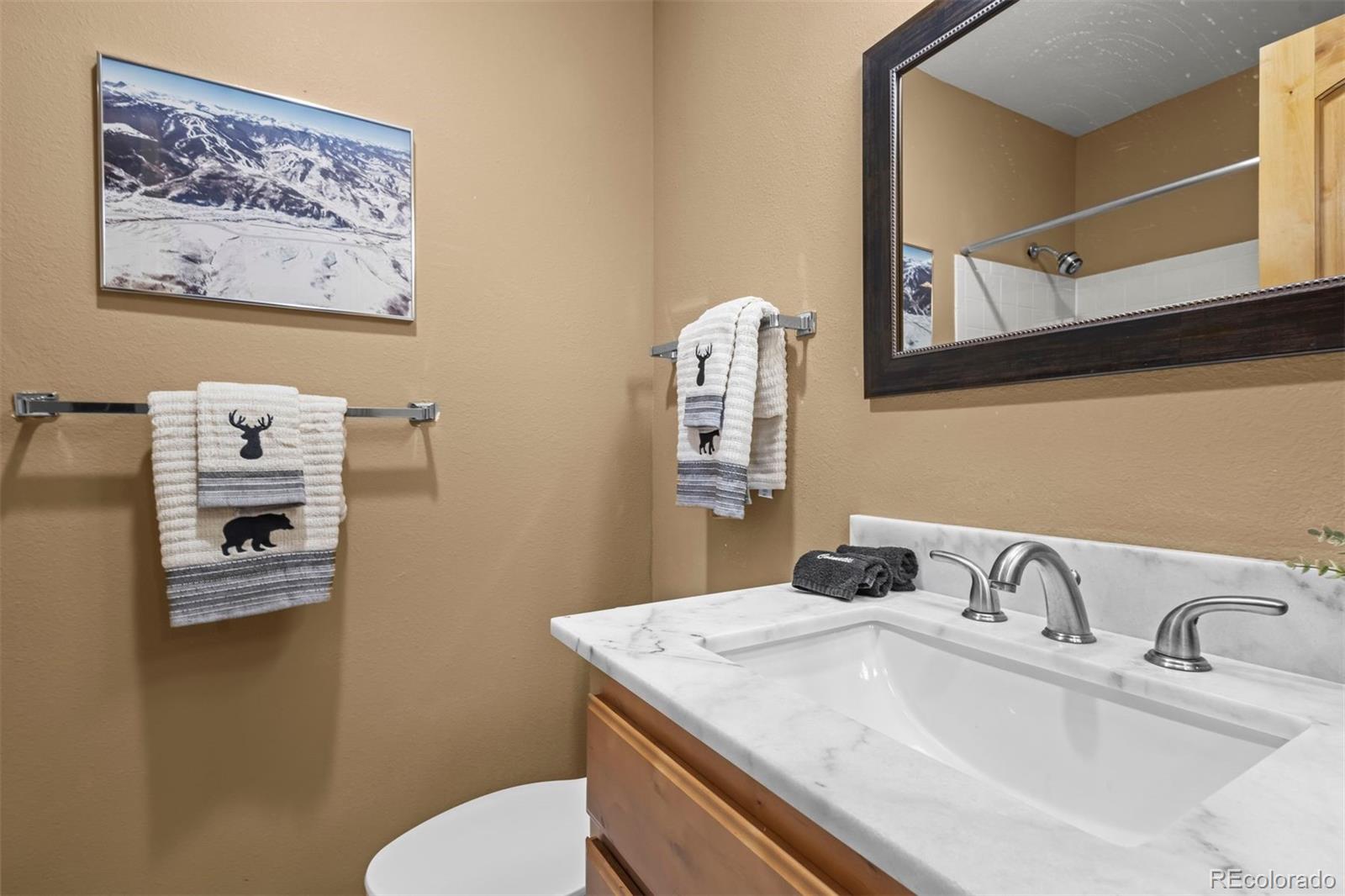 MLS Image #21 for 288 w beaver creek boulevard,avon, Colorado