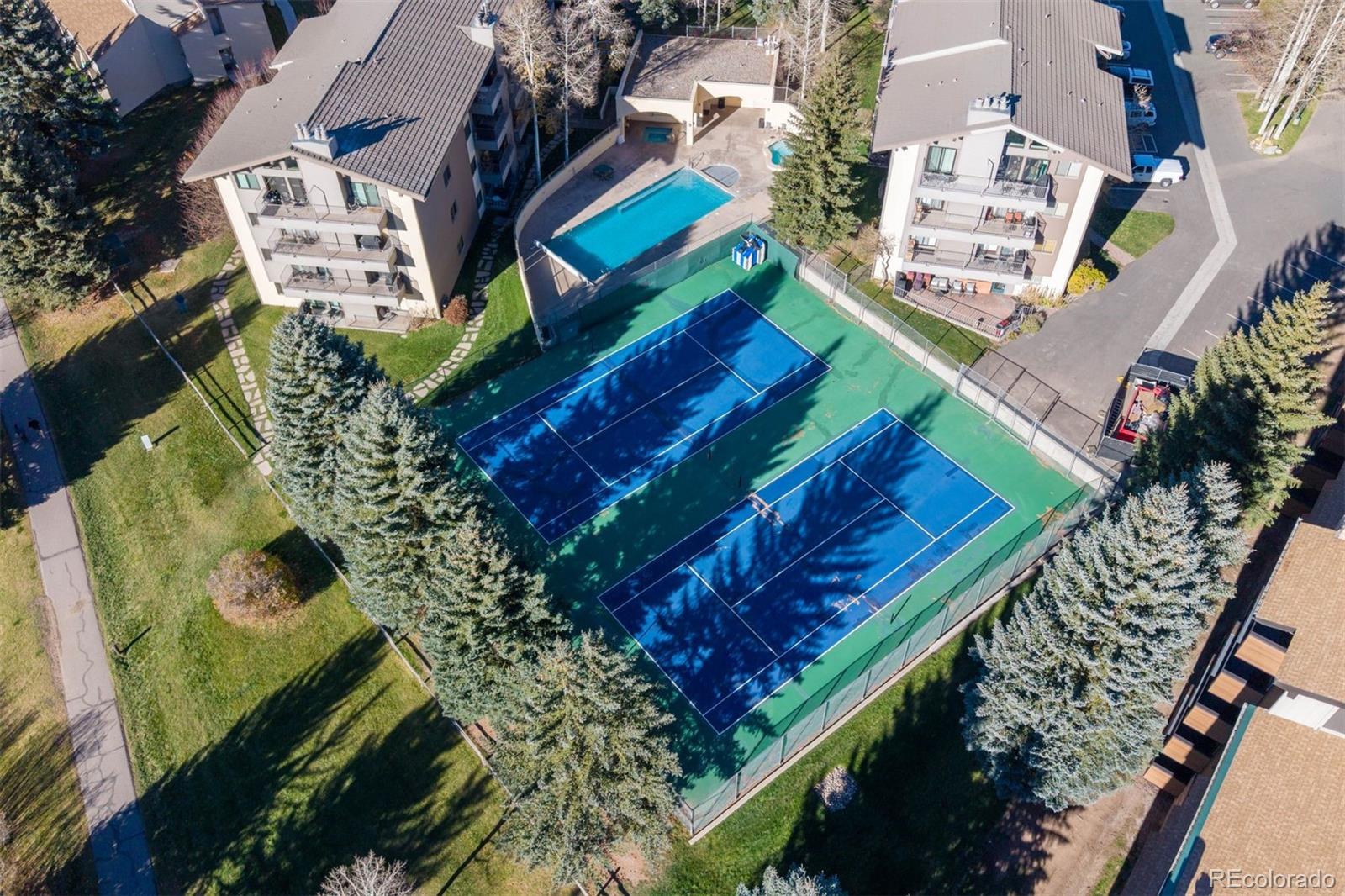 MLS Image #22 for 288 w beaver creek boulevard,avon, Colorado