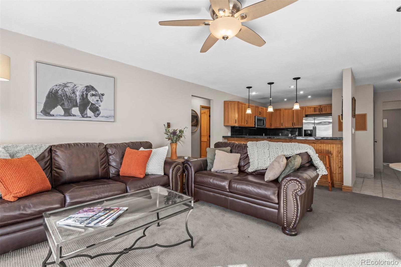 MLS Image #8 for 288 w beaver creek boulevard,avon, Colorado