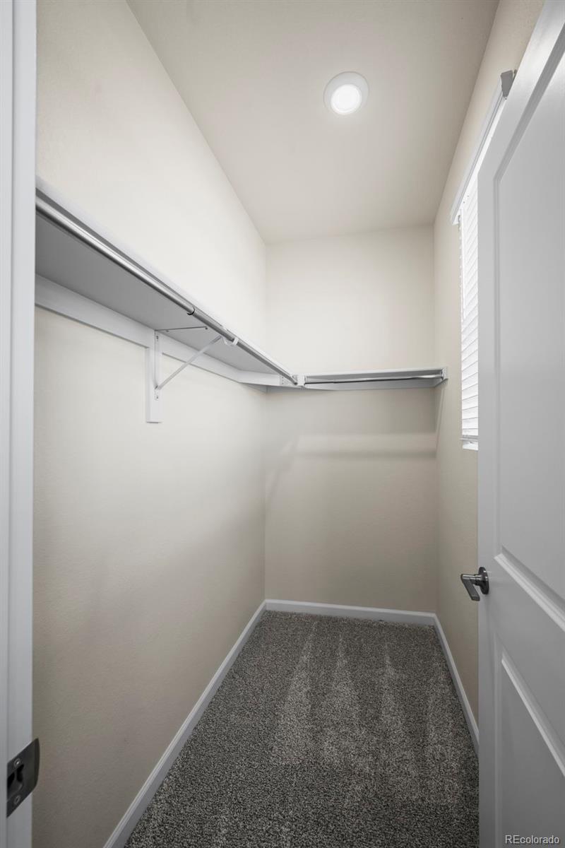 MLS Image #15 for 111  ambrose street,erie, Colorado
