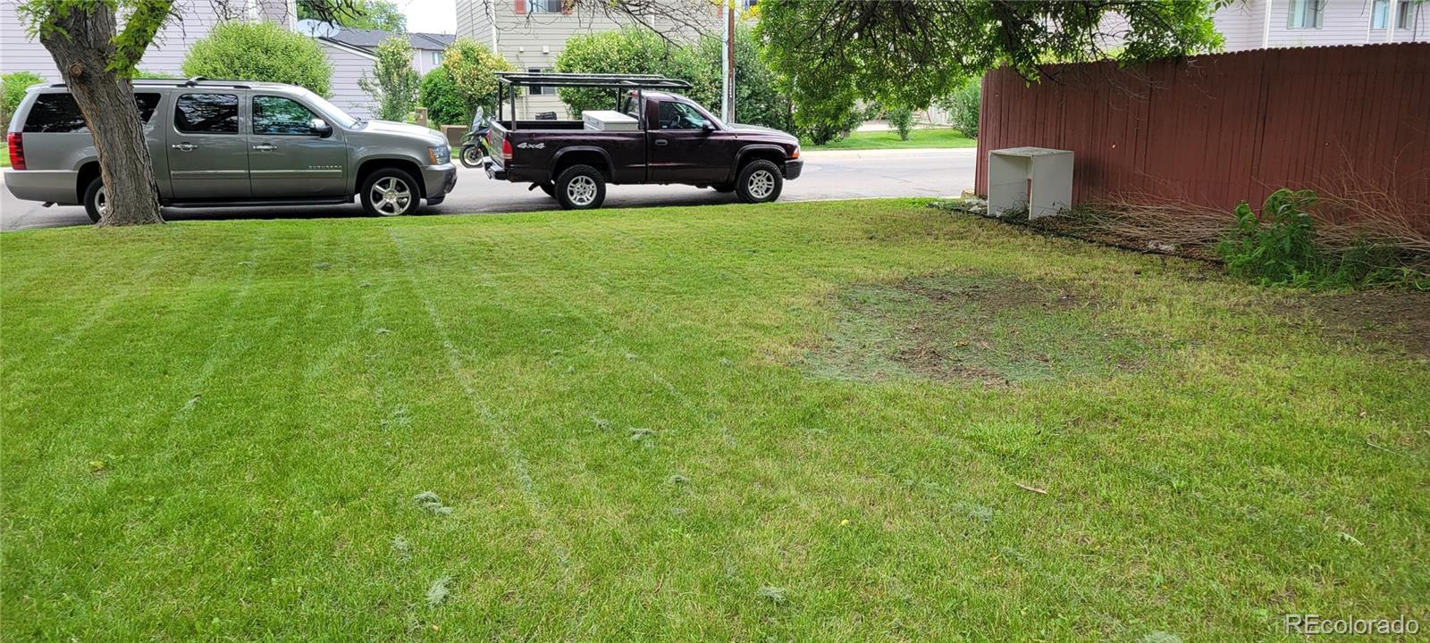 MLS Image #13 for 2490  lewis street,lakewood, Colorado