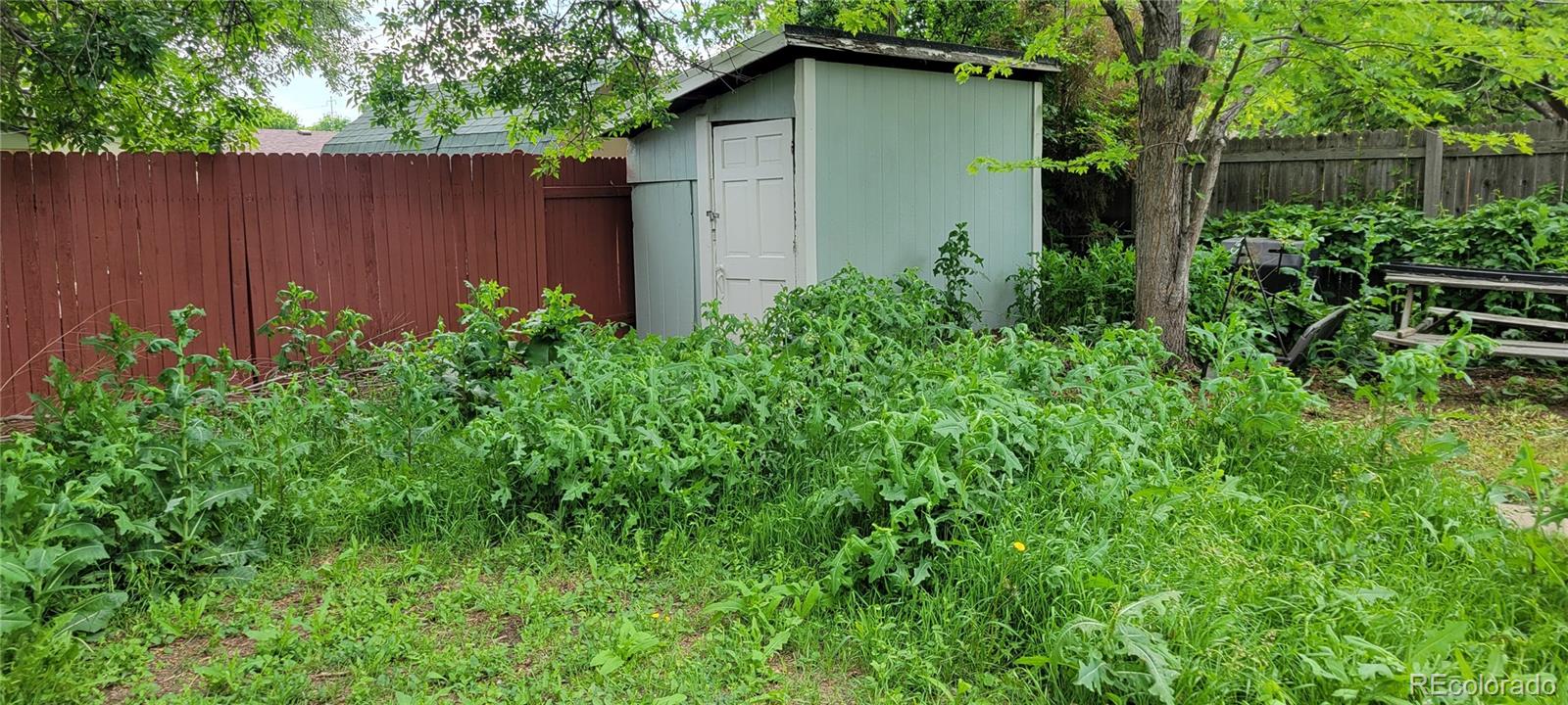MLS Image #14 for 2490  lewis street,lakewood, Colorado