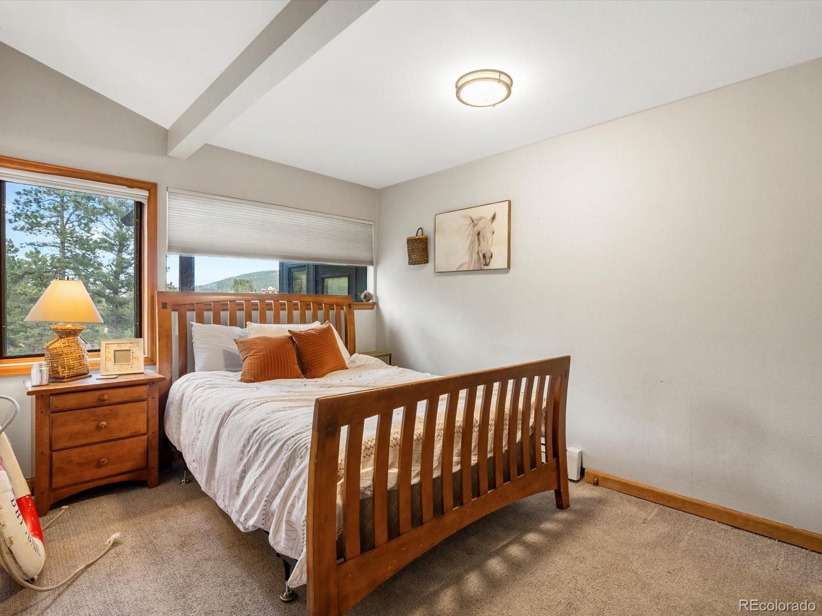 MLS Image #22 for 26994  grey moose trail,conifer, Colorado