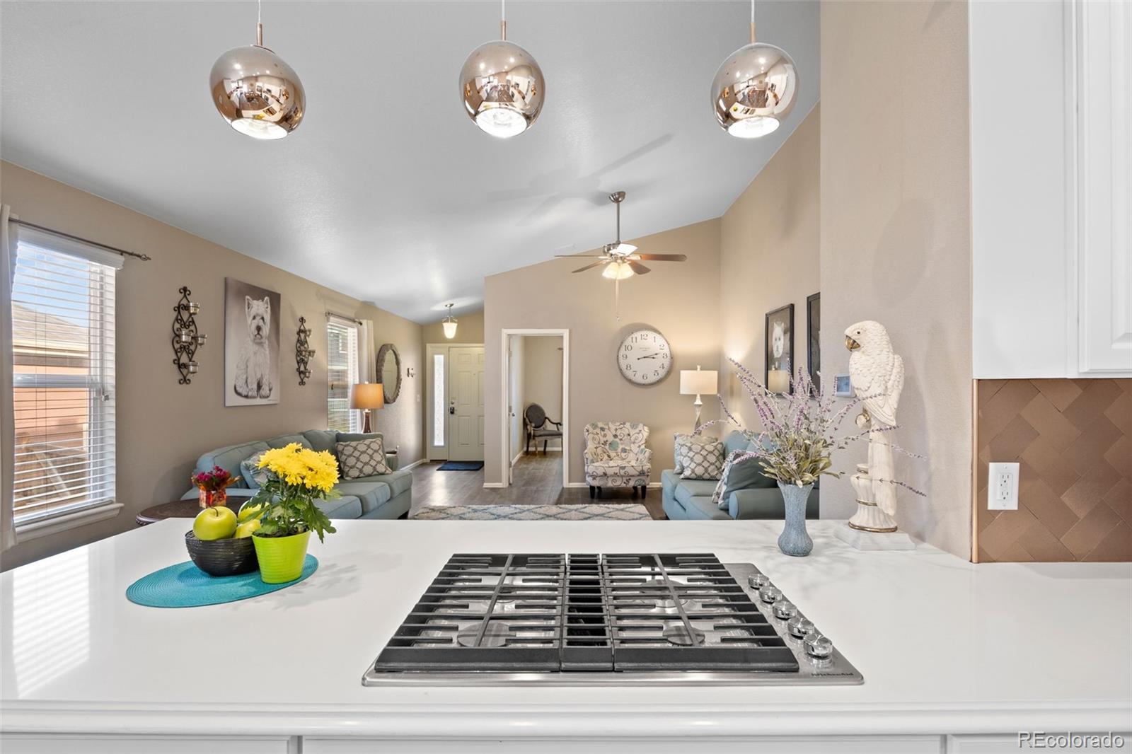 MLS Image #14 for 123  blue stem street,brighton, Colorado