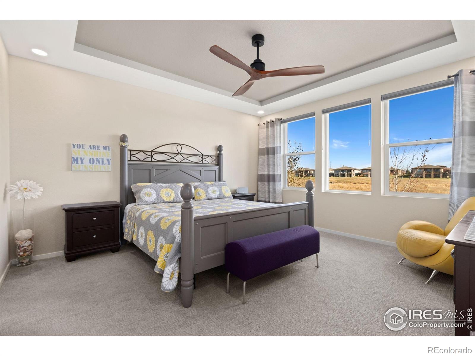 MLS Image #10 for 6808  castello street,timnath, Colorado