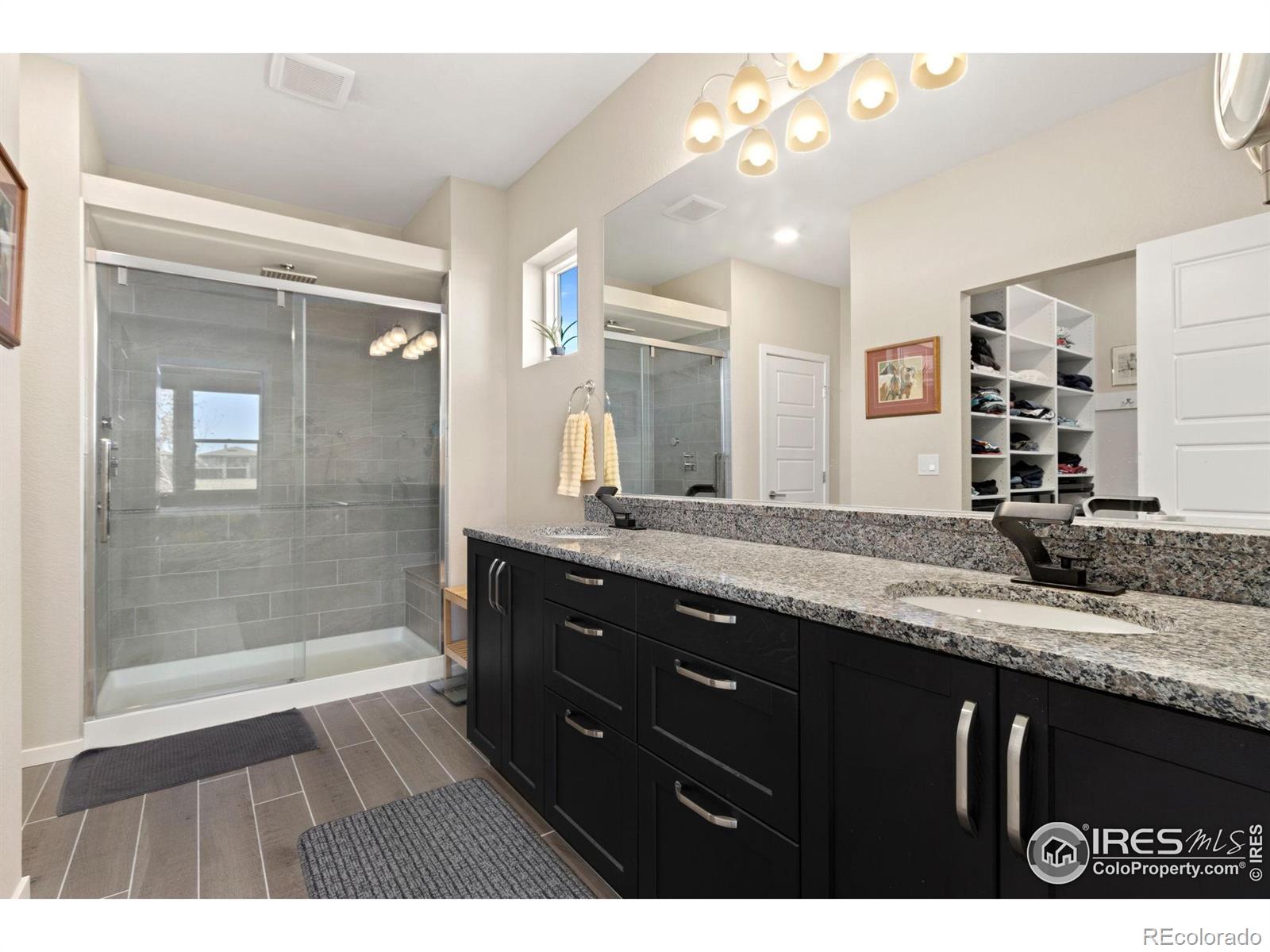 MLS Image #11 for 6808  castello street,timnath, Colorado