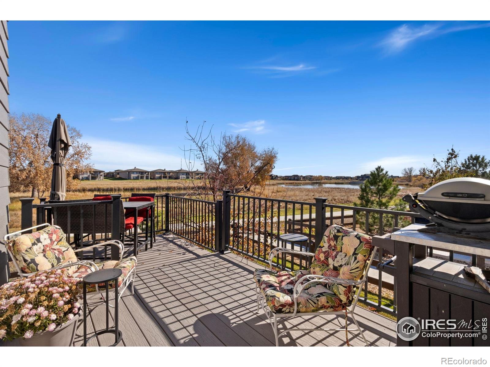 MLS Image #18 for 6808  castello street,timnath, Colorado