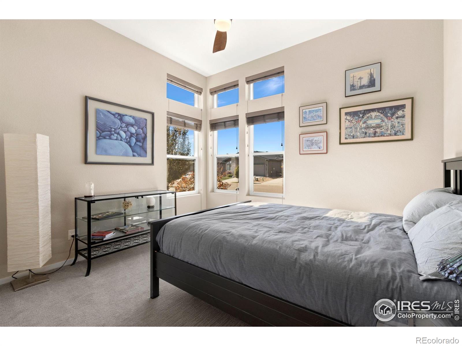 MLS Image #2 for 6808  castello street,timnath, Colorado