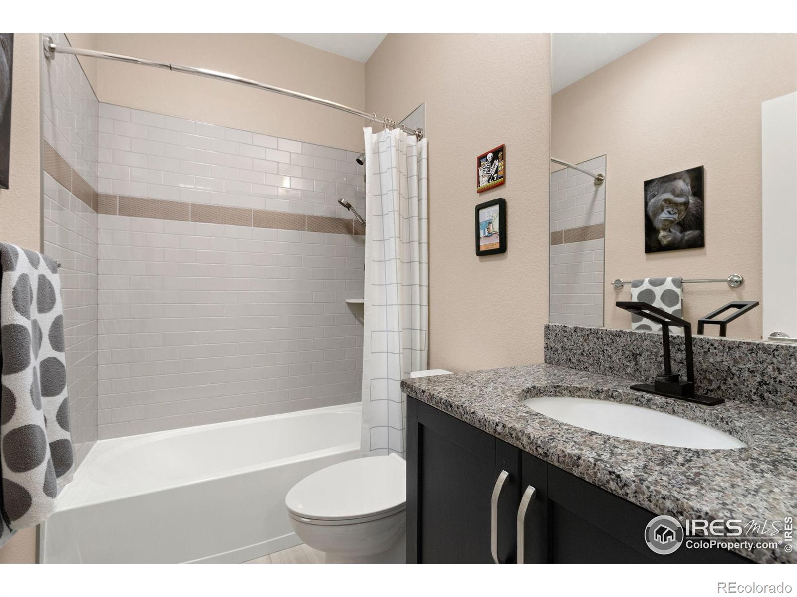MLS Image #3 for 6808  castello street,timnath, Colorado