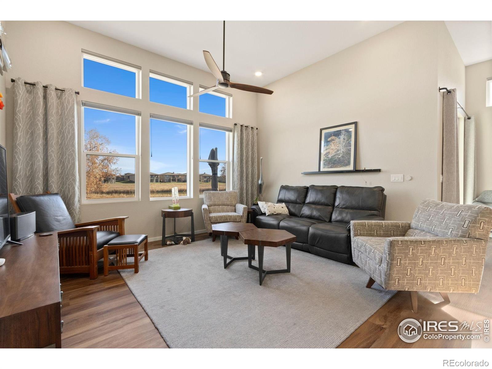 MLS Image #9 for 6808  castello street,timnath, Colorado