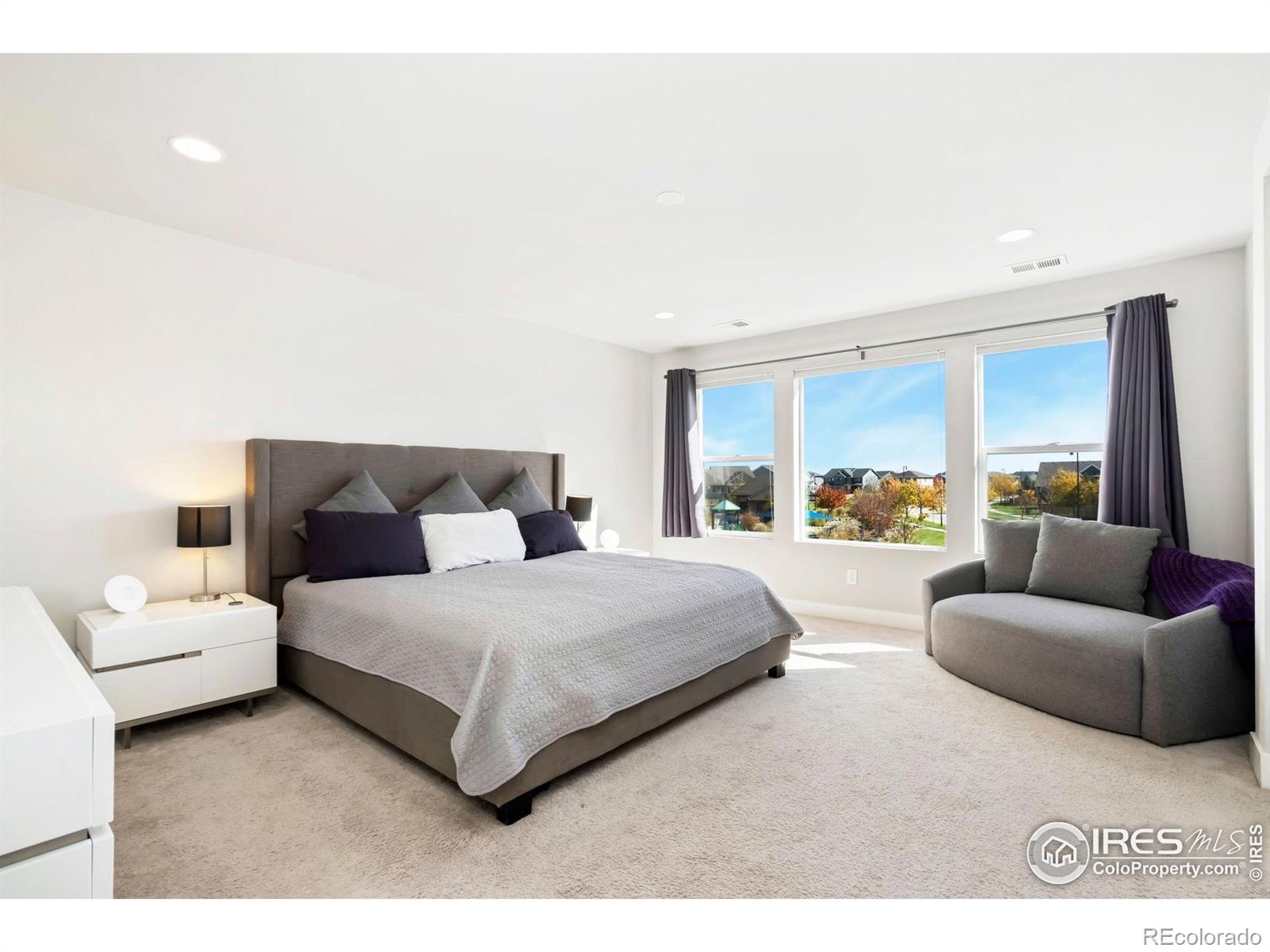 MLS Image #13 for 6411  verna court,timnath, Colorado
