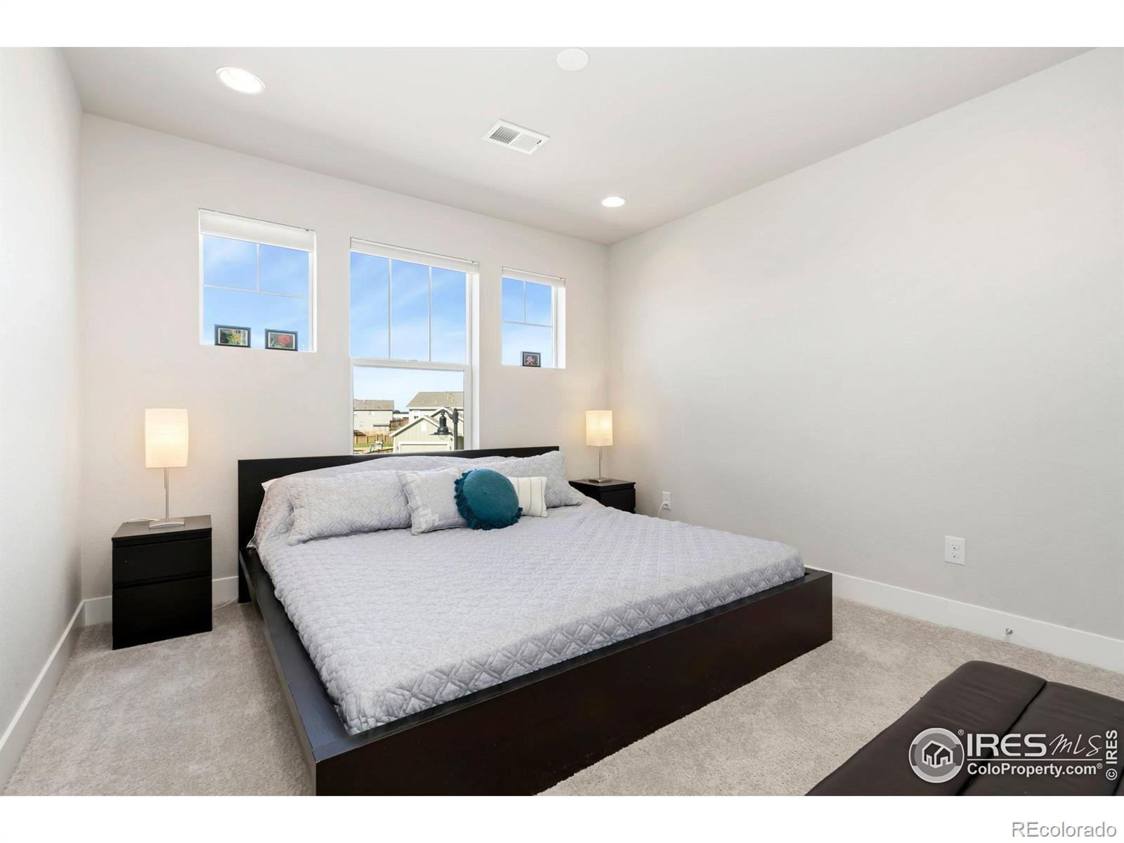 MLS Image #18 for 6411  verna court,timnath, Colorado