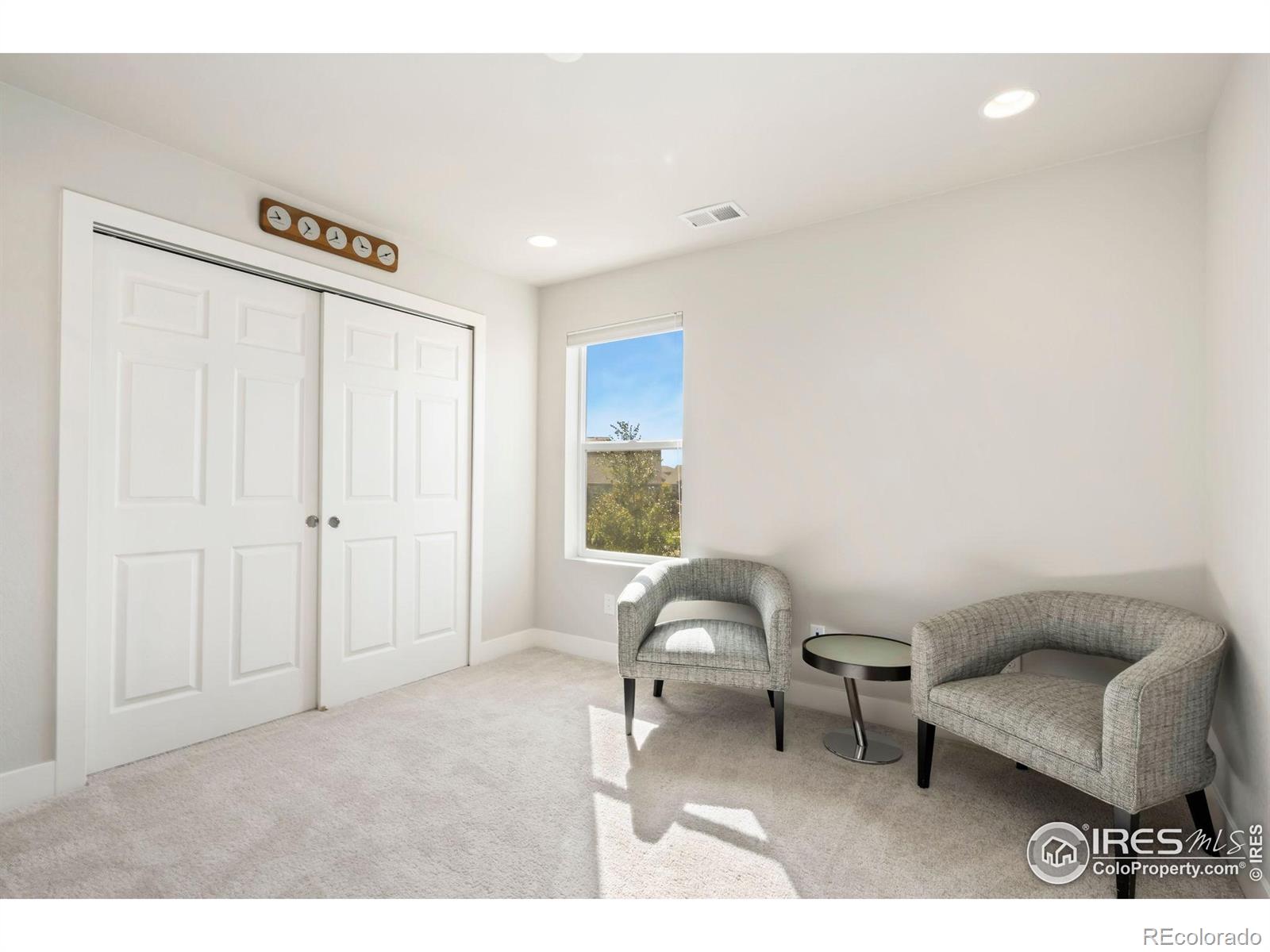 MLS Image #19 for 6411  verna court,timnath, Colorado