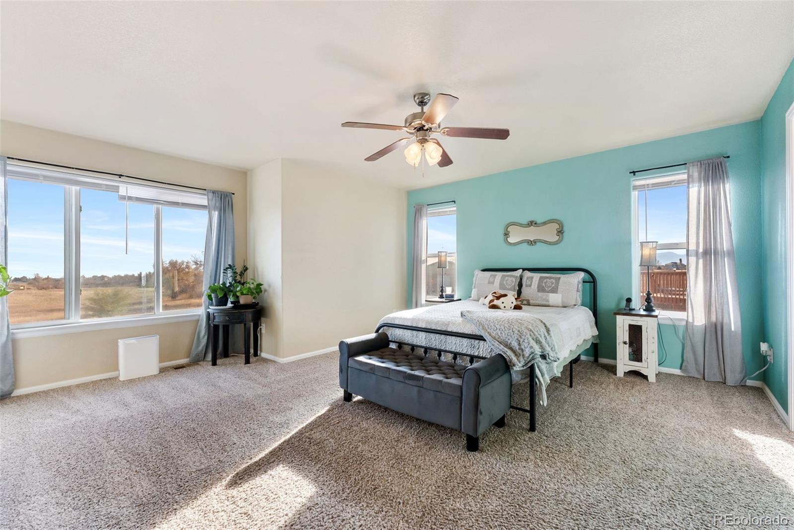 MLS Image #12 for 13161  river falls terrace,peyton, Colorado