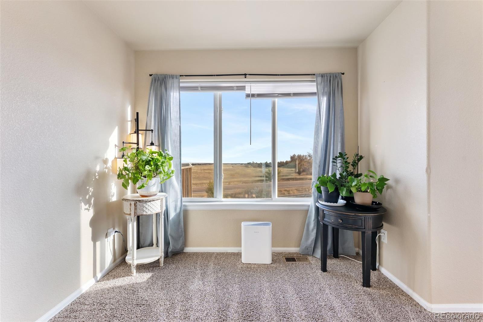 MLS Image #14 for 13161  river falls terrace,peyton, Colorado