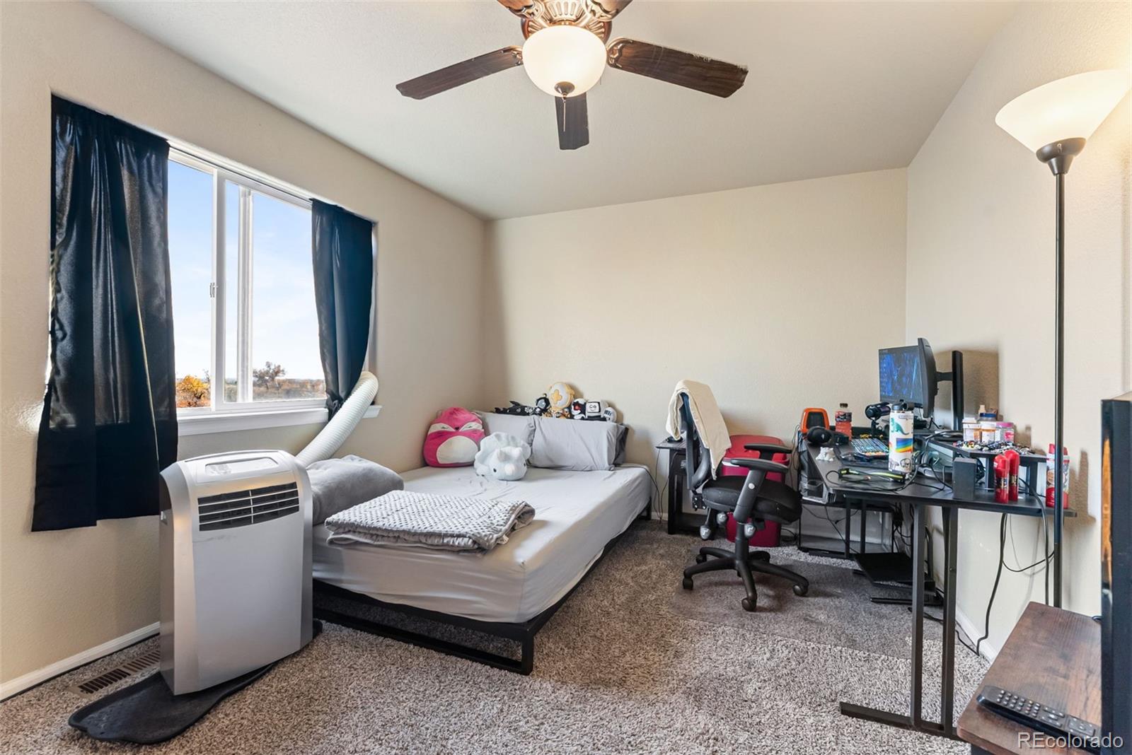 MLS Image #22 for 13161  river falls terrace,peyton, Colorado