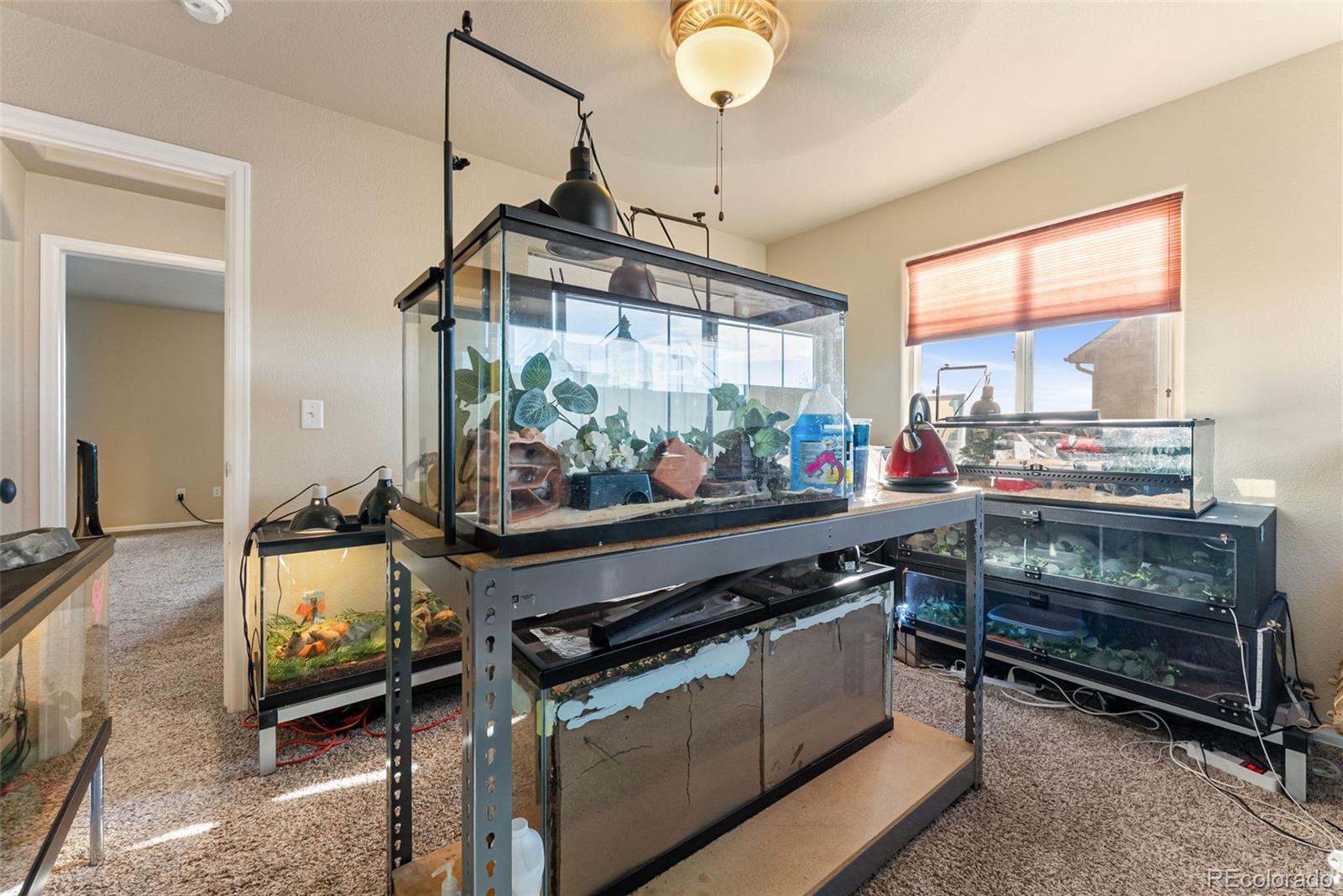 MLS Image #23 for 13161  river falls terrace,peyton, Colorado