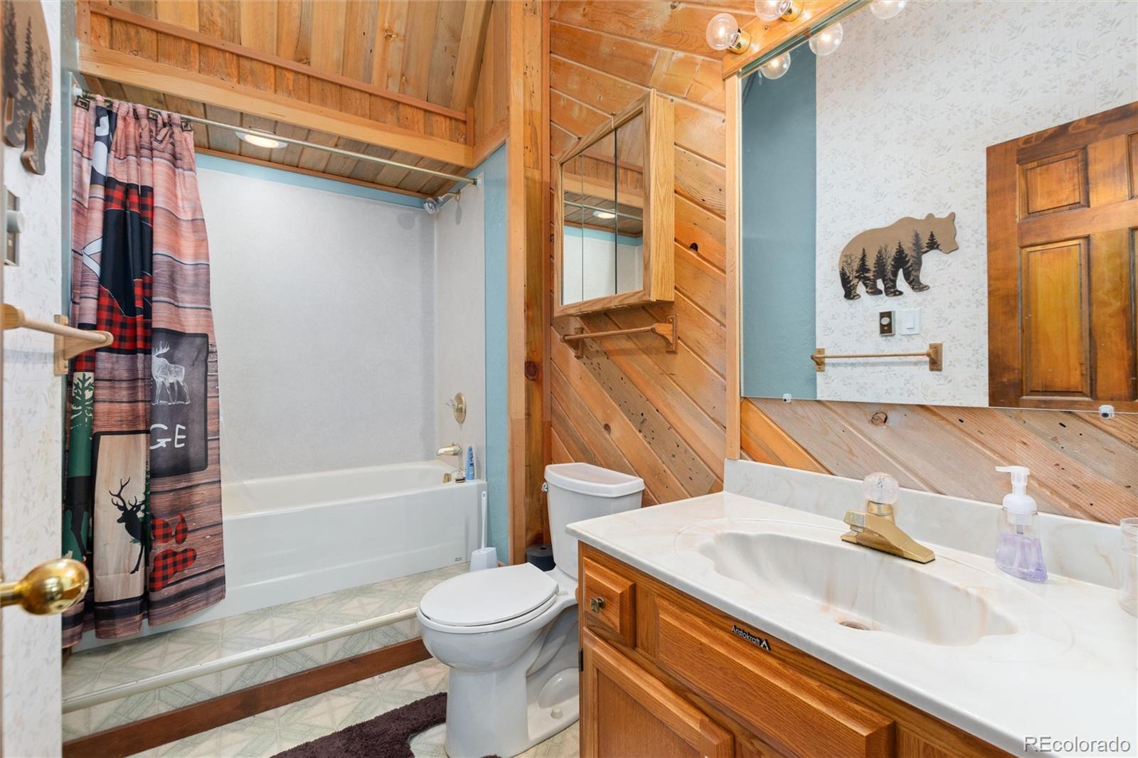 MLS Image #10 for 4120  fall river road,idaho springs, Colorado