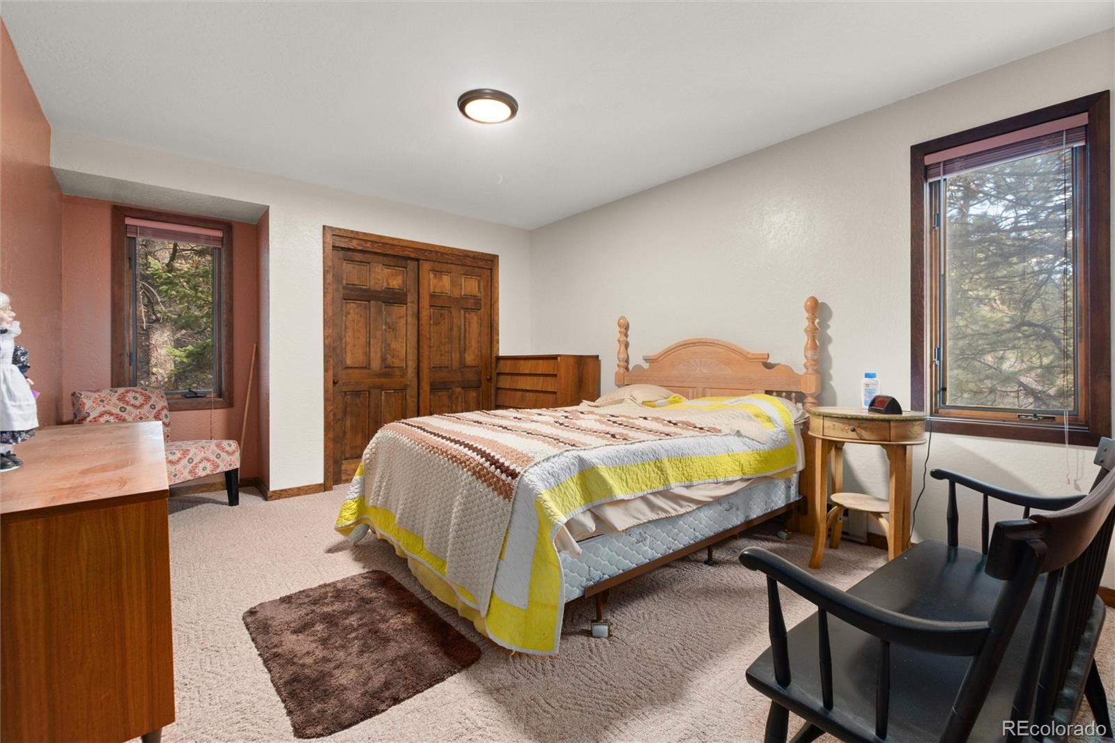 MLS Image #11 for 4120  fall river road,idaho springs, Colorado
