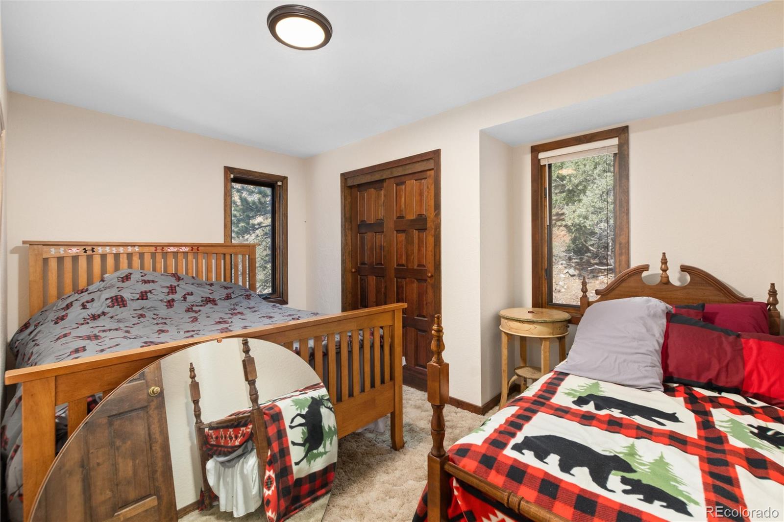 MLS Image #12 for 4120  fall river road,idaho springs, Colorado