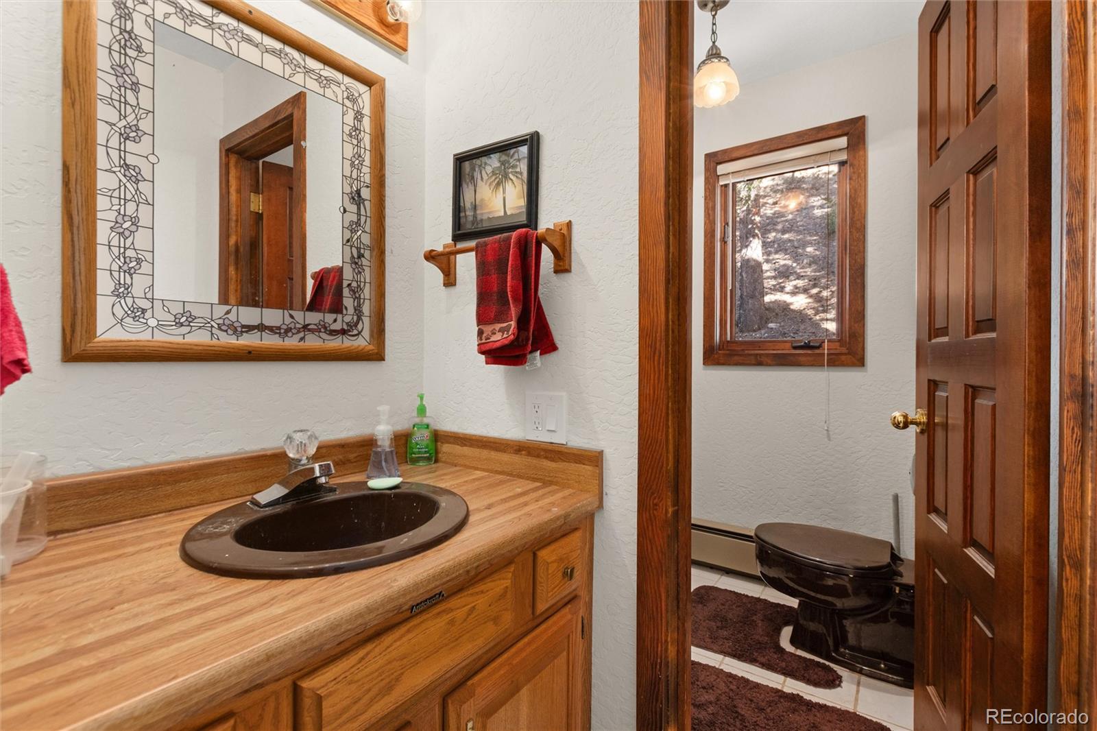 MLS Image #14 for 4120  fall river road,idaho springs, Colorado