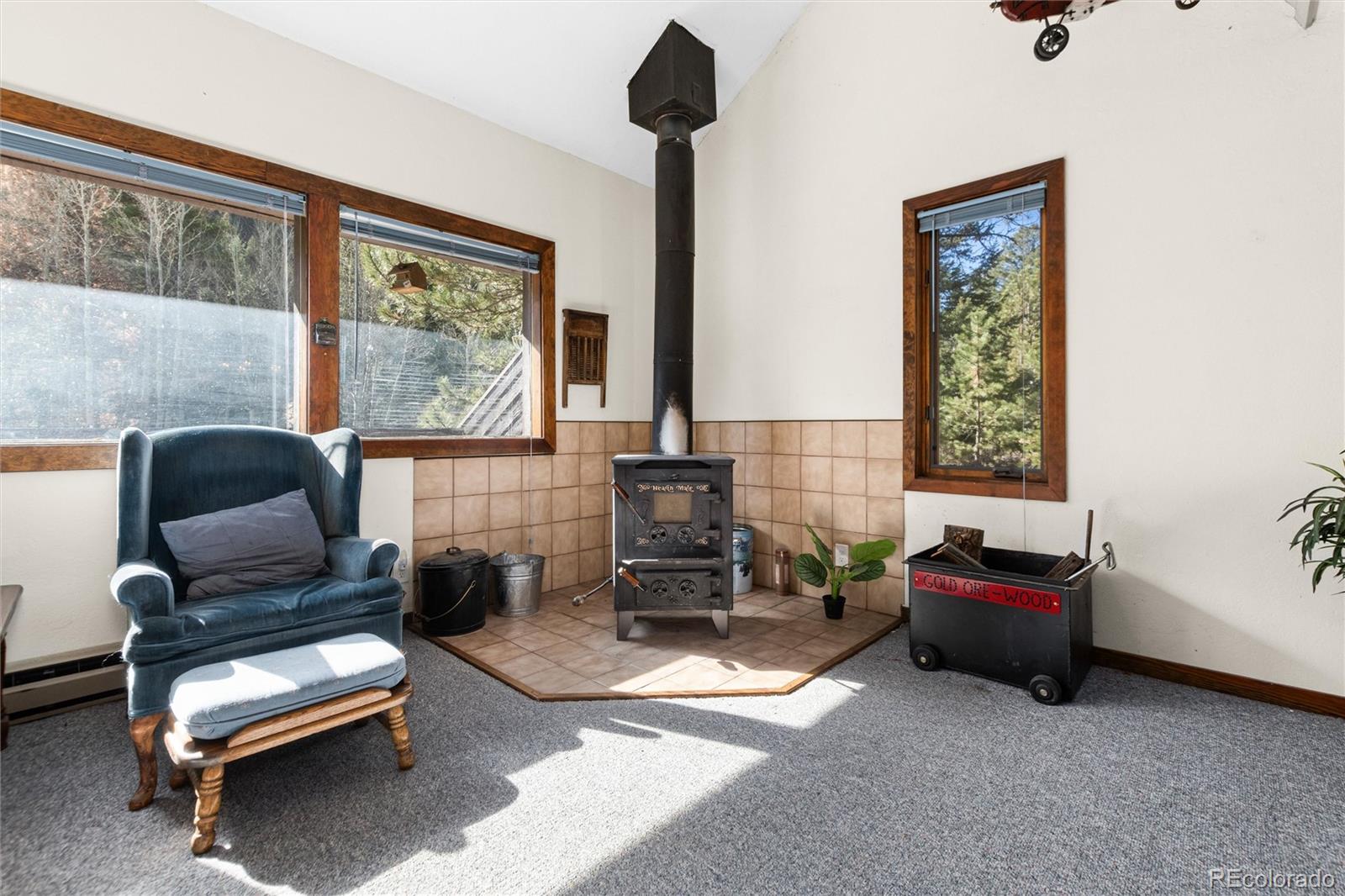 MLS Image #2 for 4120  fall river road,idaho springs, Colorado