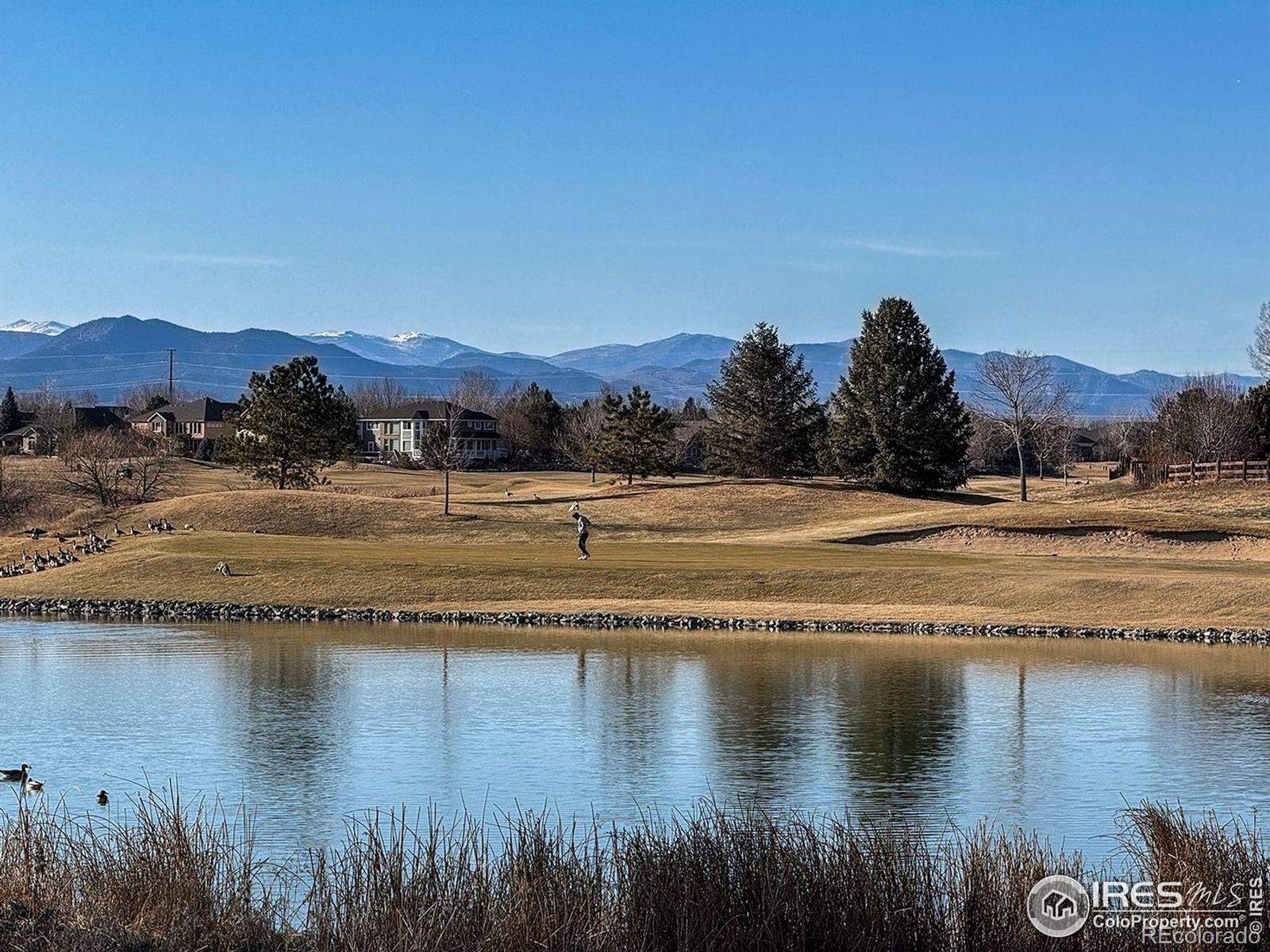 MLS Image #12 for 1931  rannoch drive,longmont, Colorado