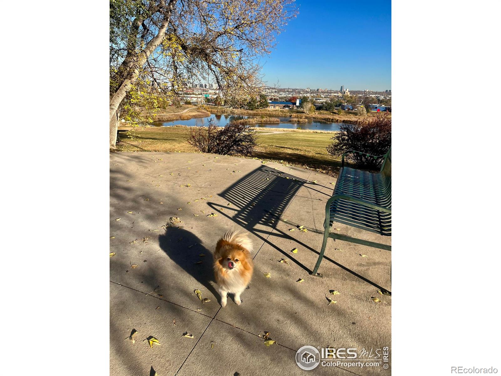 MLS Image #39 for 160  julian street,denver, Colorado