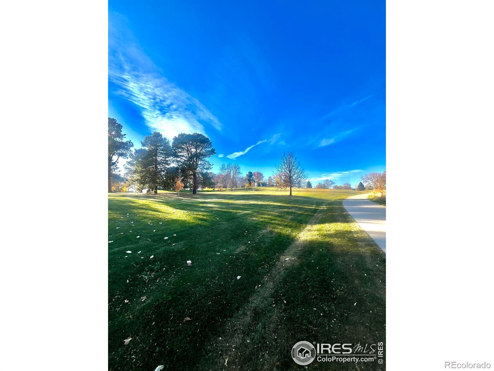 MLS Image #43 for 160  julian street,denver, Colorado