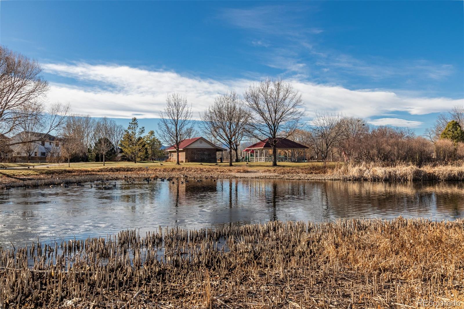 MLS Image #44 for 3761  ashmount drive,fort collins, Colorado