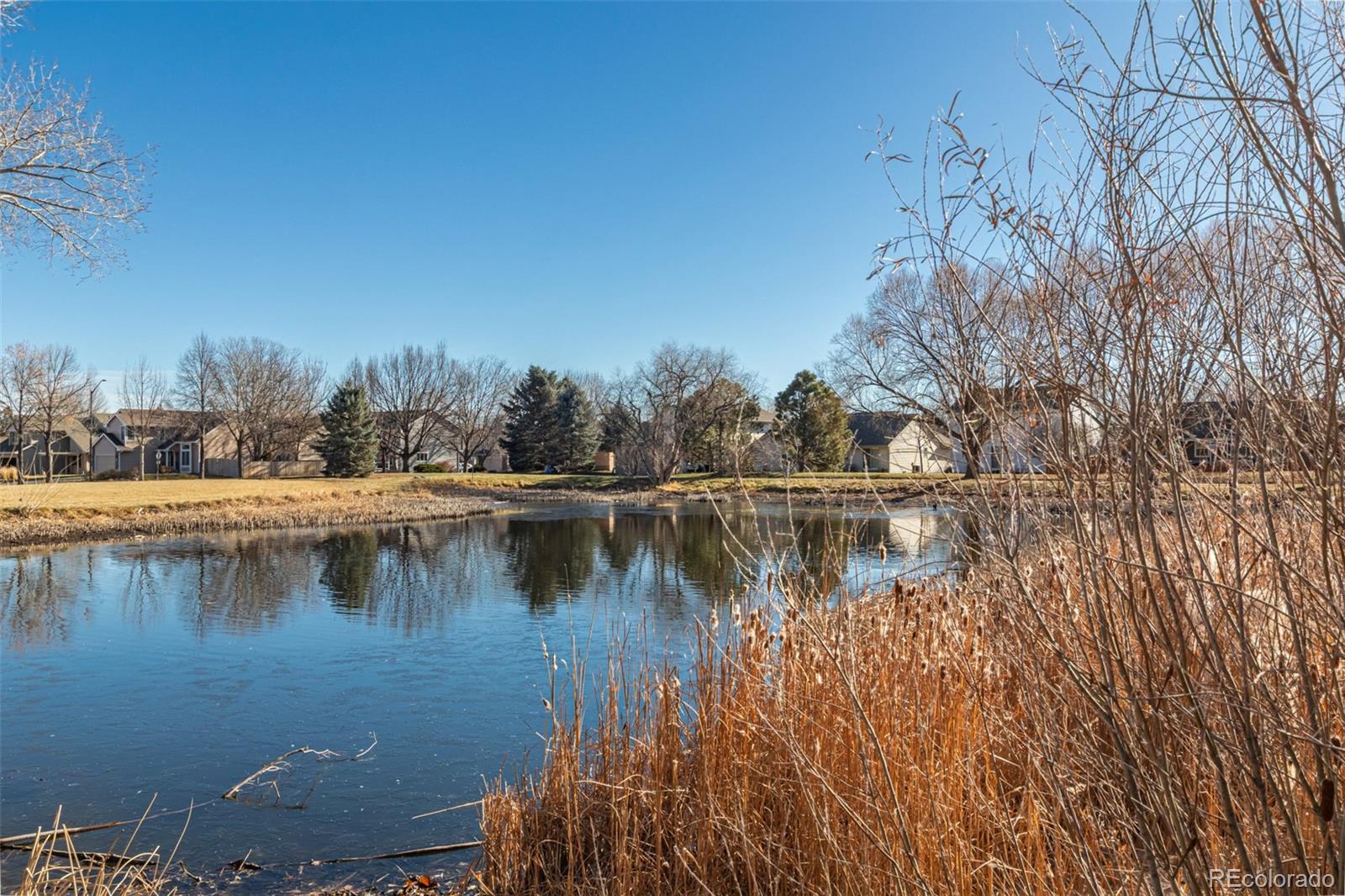 MLS Image #45 for 3761  ashmount drive,fort collins, Colorado