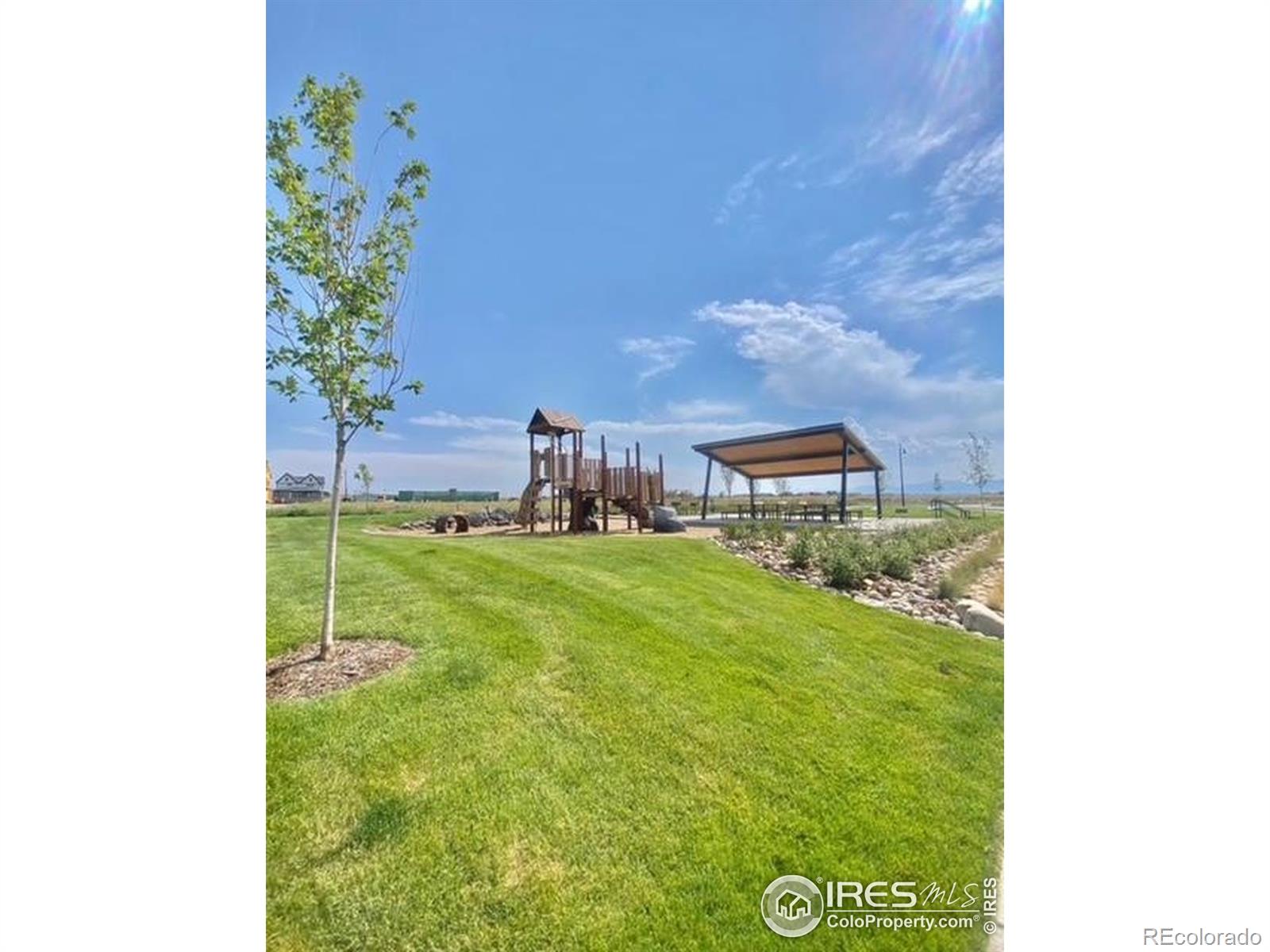 MLS Image #20 for 1472  peach avenue,erie, Colorado