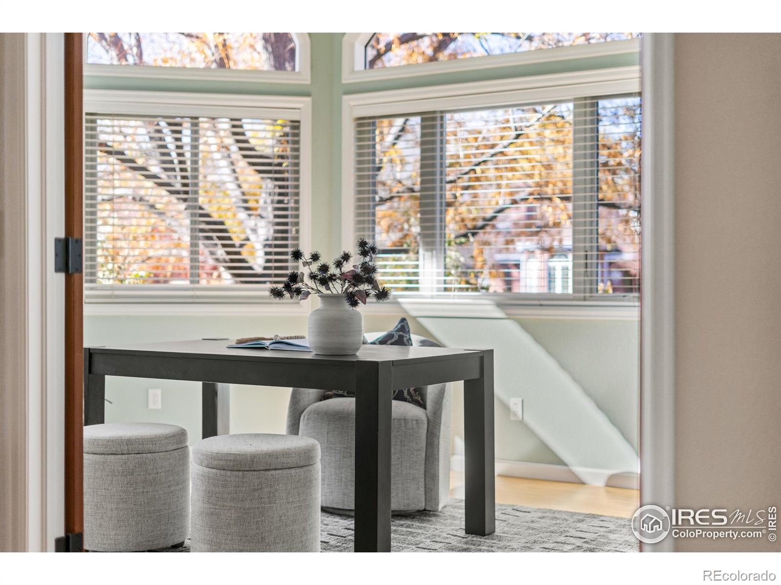 MLS Image #3 for 5220  desert pine court,boulder, Colorado